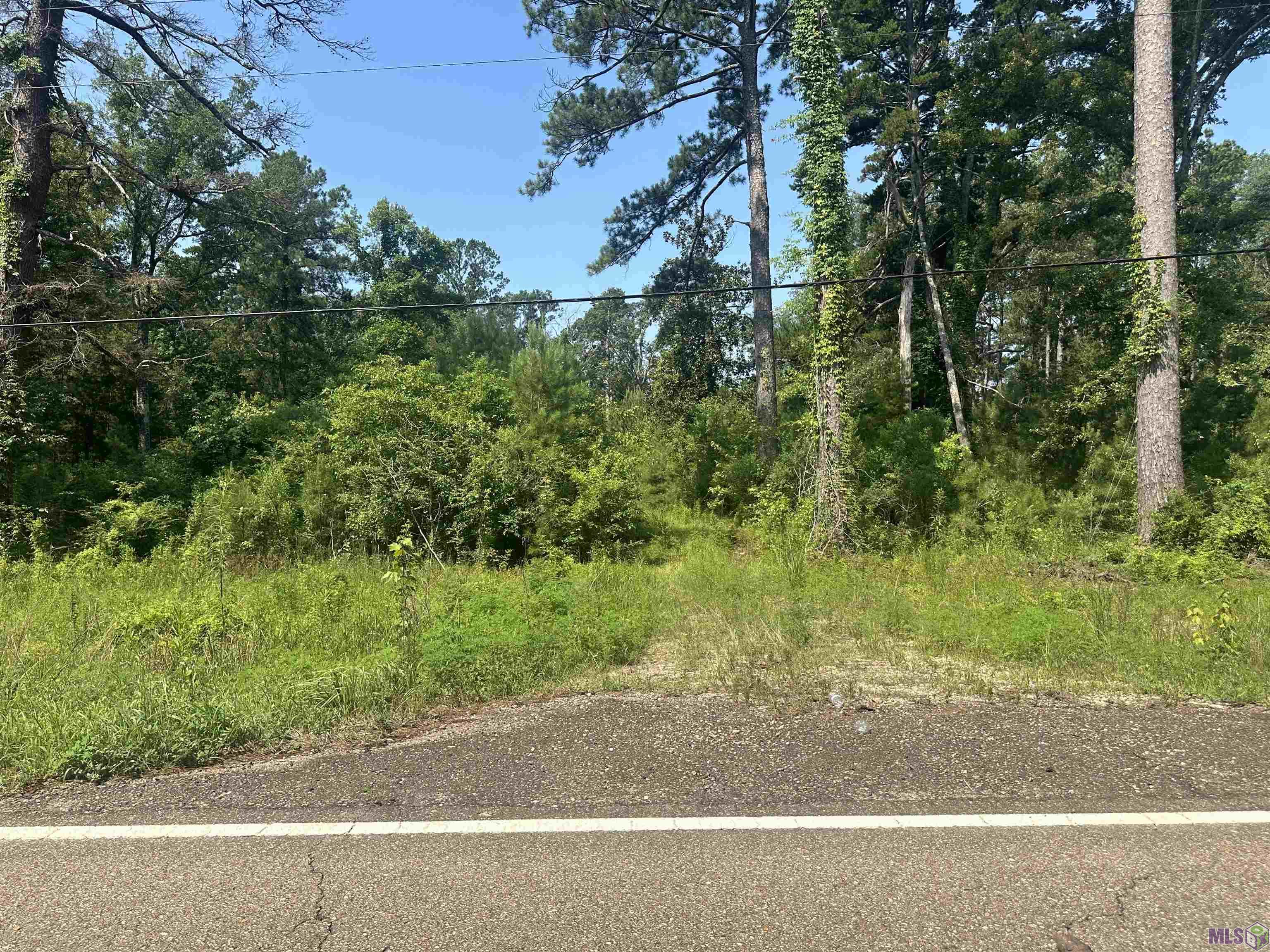 1036 Highway 1036 Holden, LA 70744 - Photo 17 of 39 Gallery Image 17