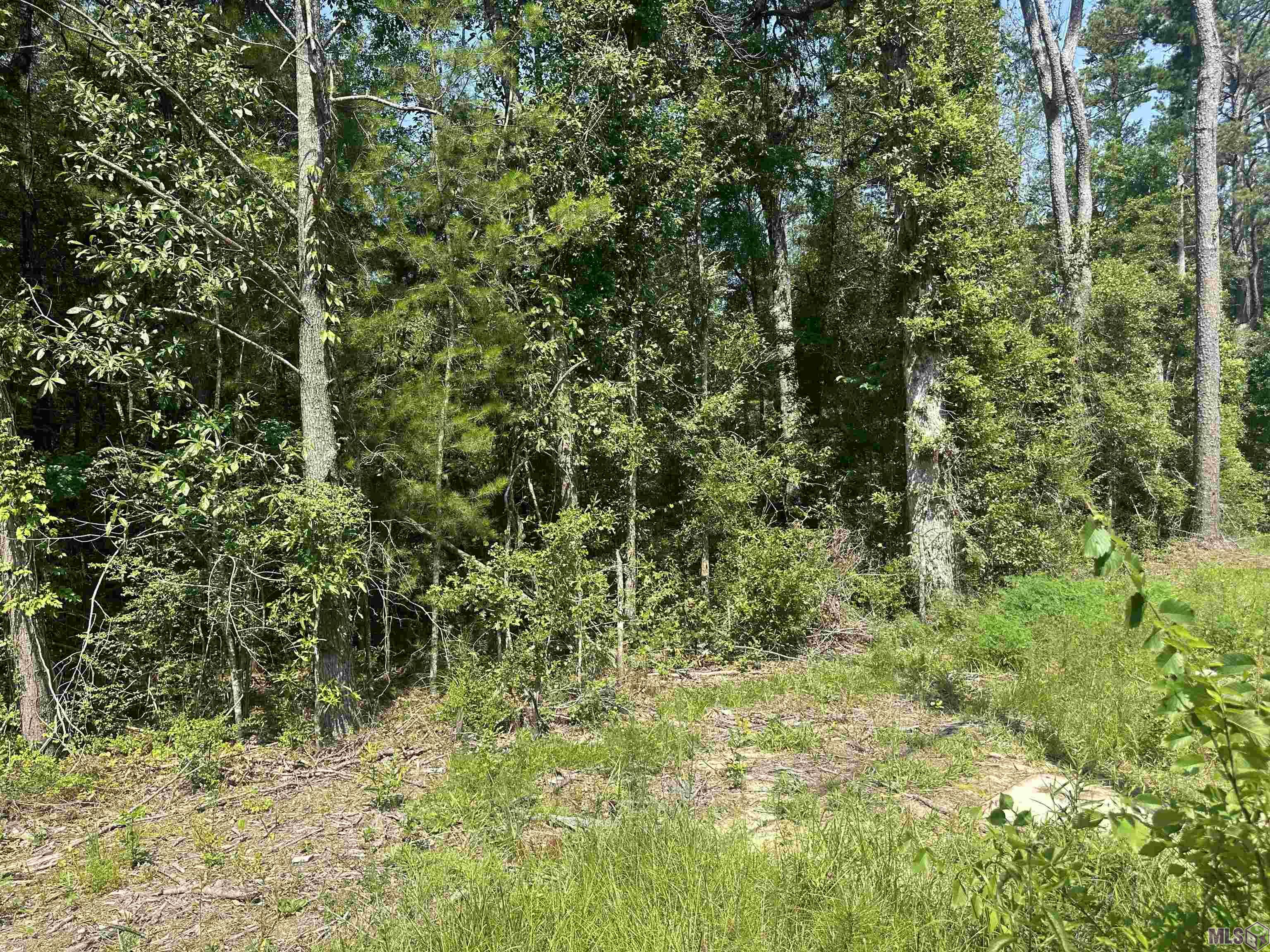 1036 Highway 1036 Holden, LA 70744 - Photo 18 of 39 Gallery Image 18