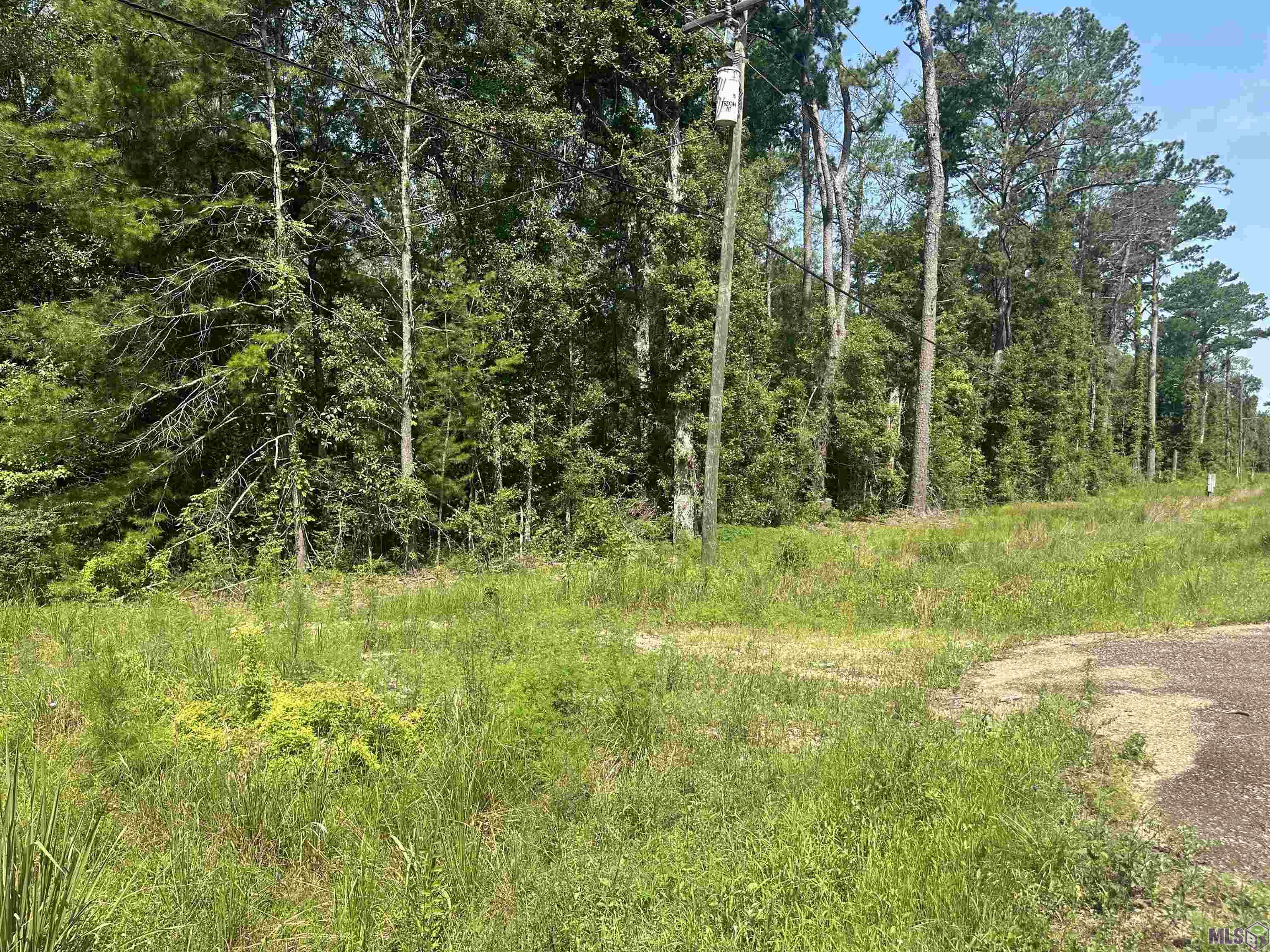 1036 Highway 1036 Holden, LA 70744 - Photo 19 of 39 Gallery Image 19