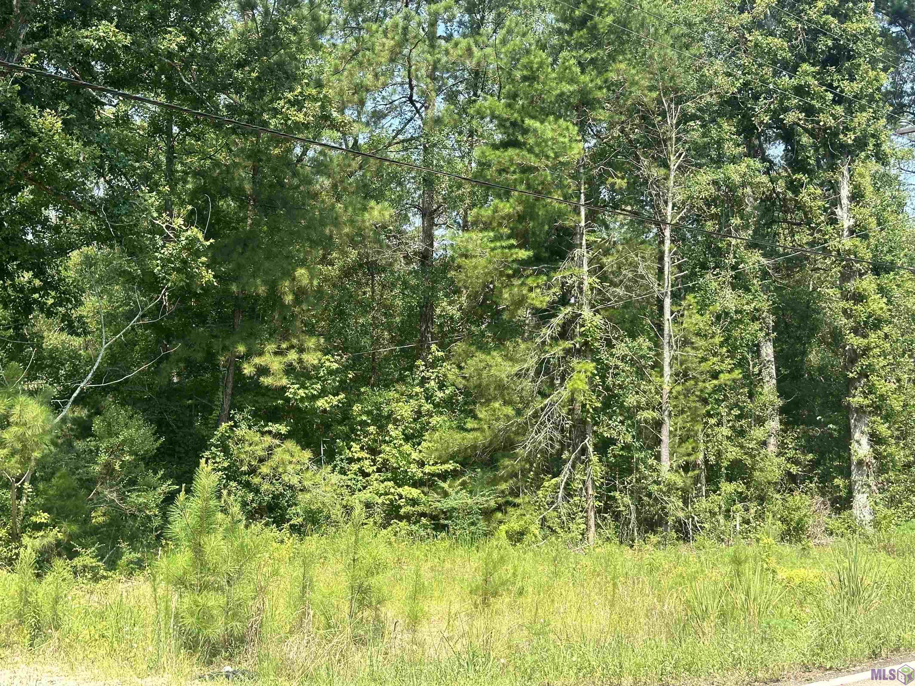 1036 Highway 1036 Holden, LA 70744 - Photo 20 of 39 Gallery Image 20