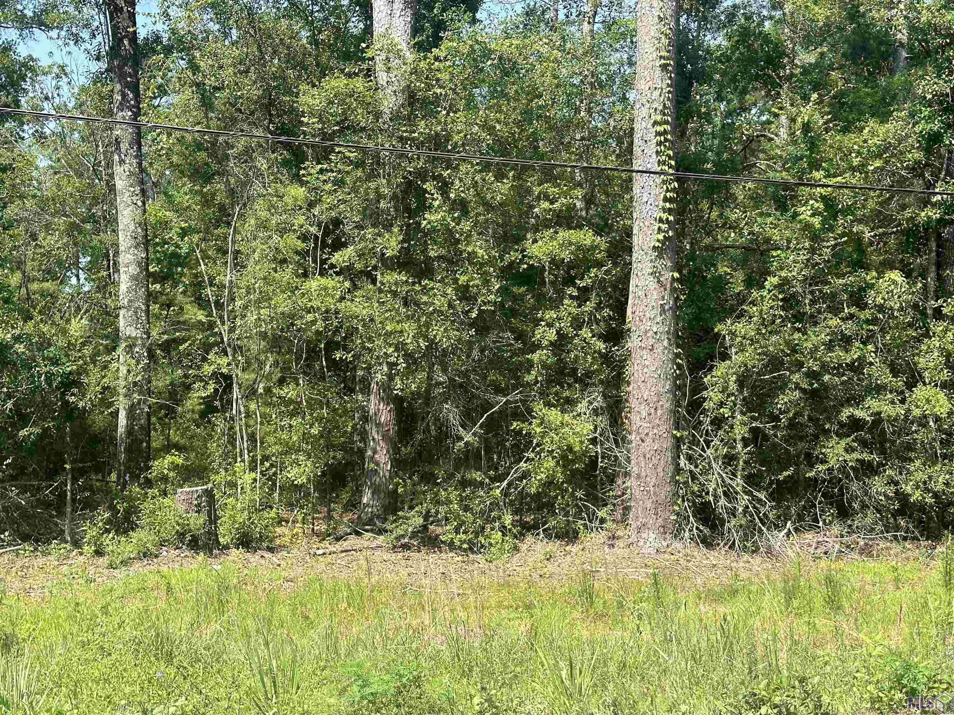1036 Highway 1036 Holden, LA 70744 - Photo 21 of 39 Gallery Image 21