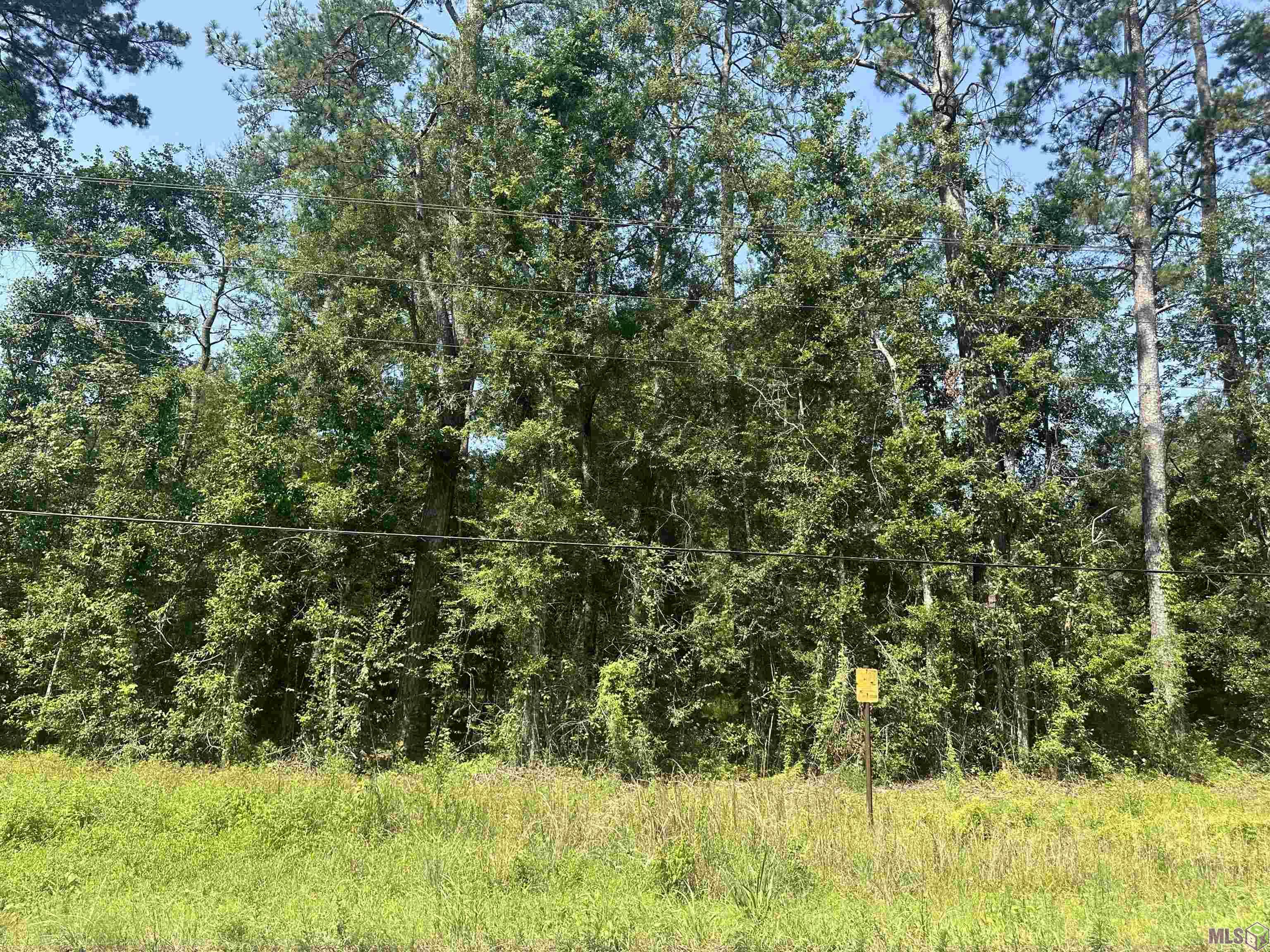 1036 Highway 1036 Holden, LA 70744 - Photo 22 of 39 Gallery Image 22