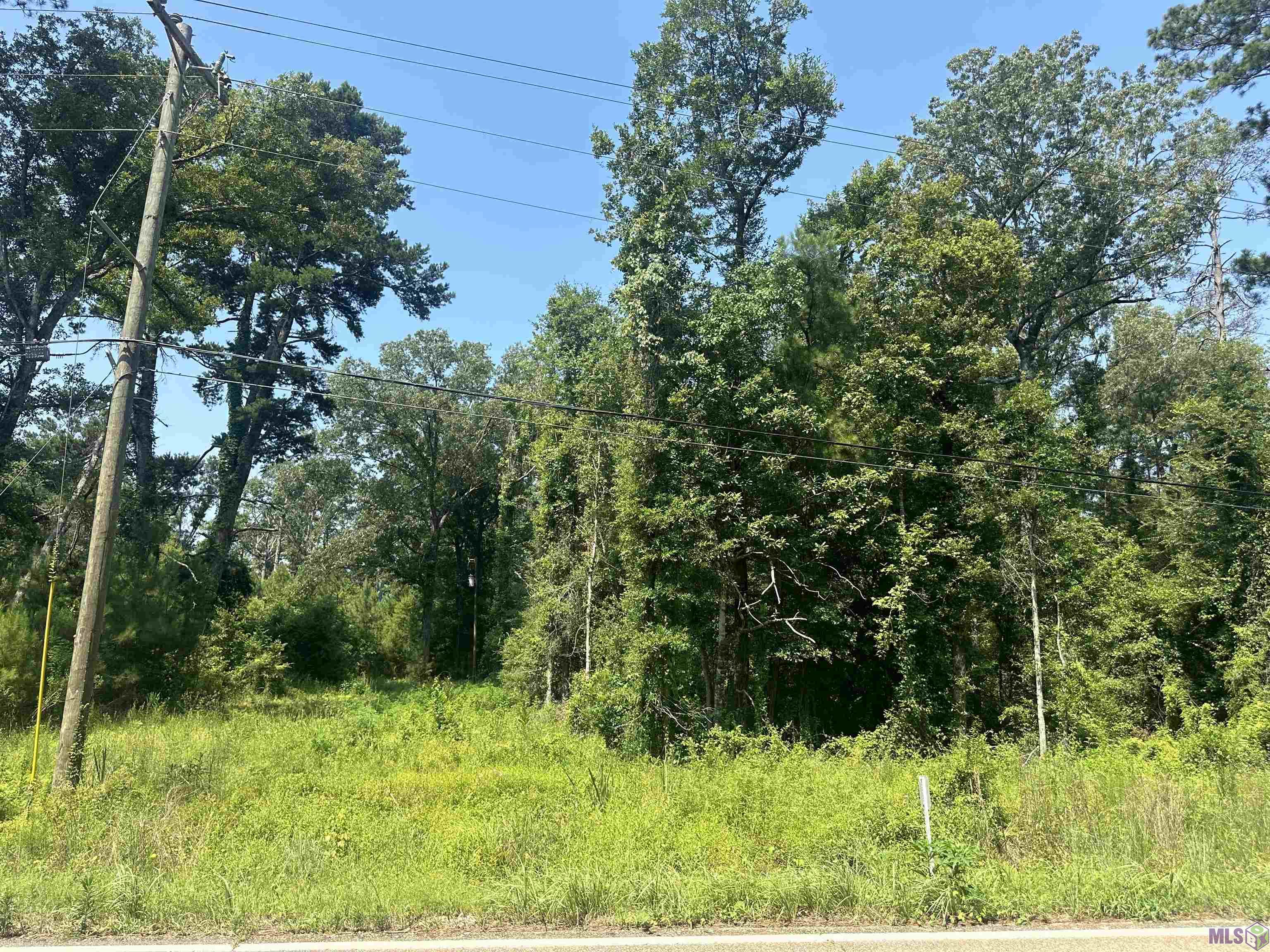 1036 Highway 1036 Holden, LA 70744 - Photo 23 of 39 Gallery Image 23
