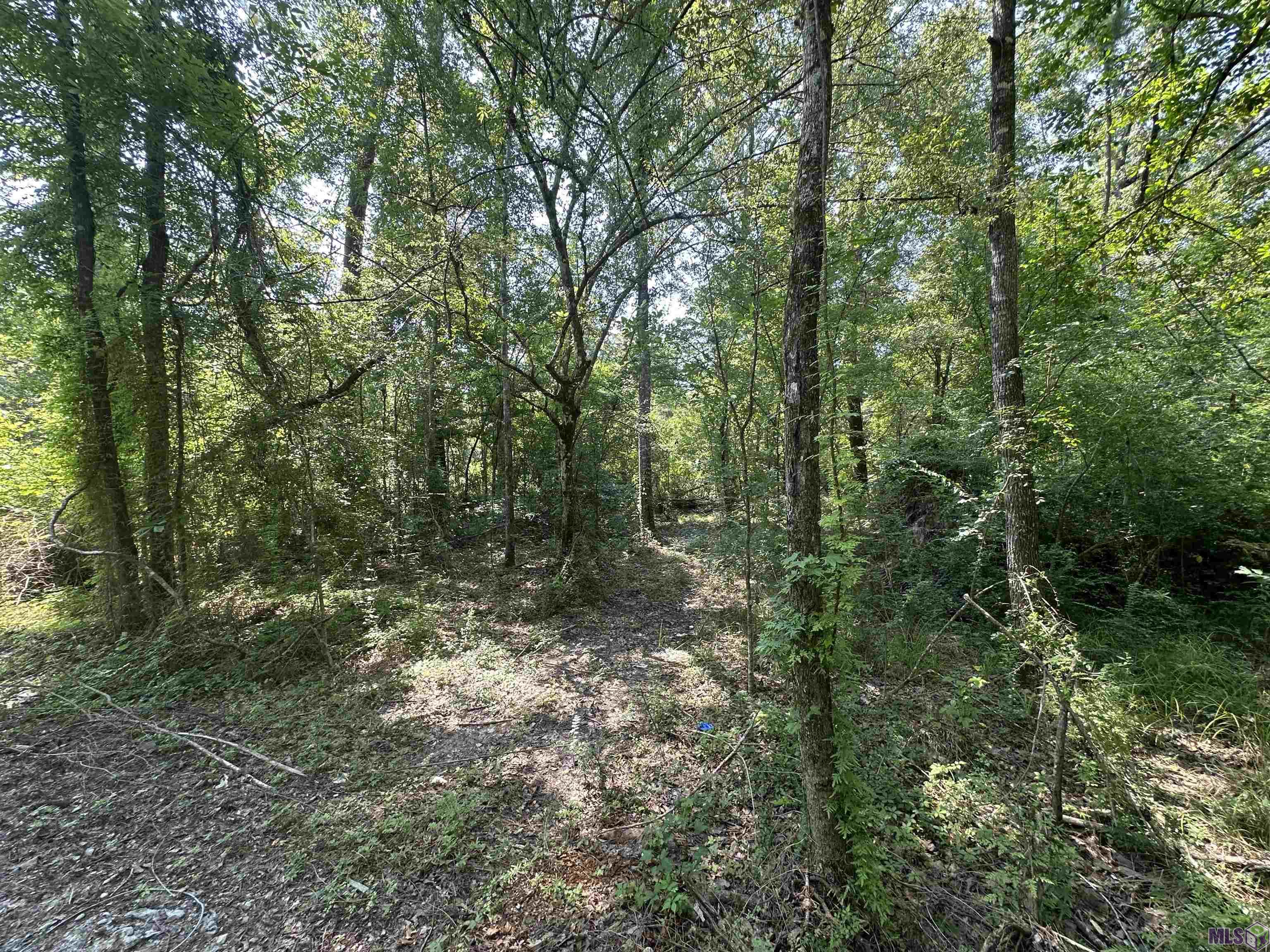 1036 Highway 1036 Holden, LA 70744 - Photo 24 of 39 Gallery Image 24