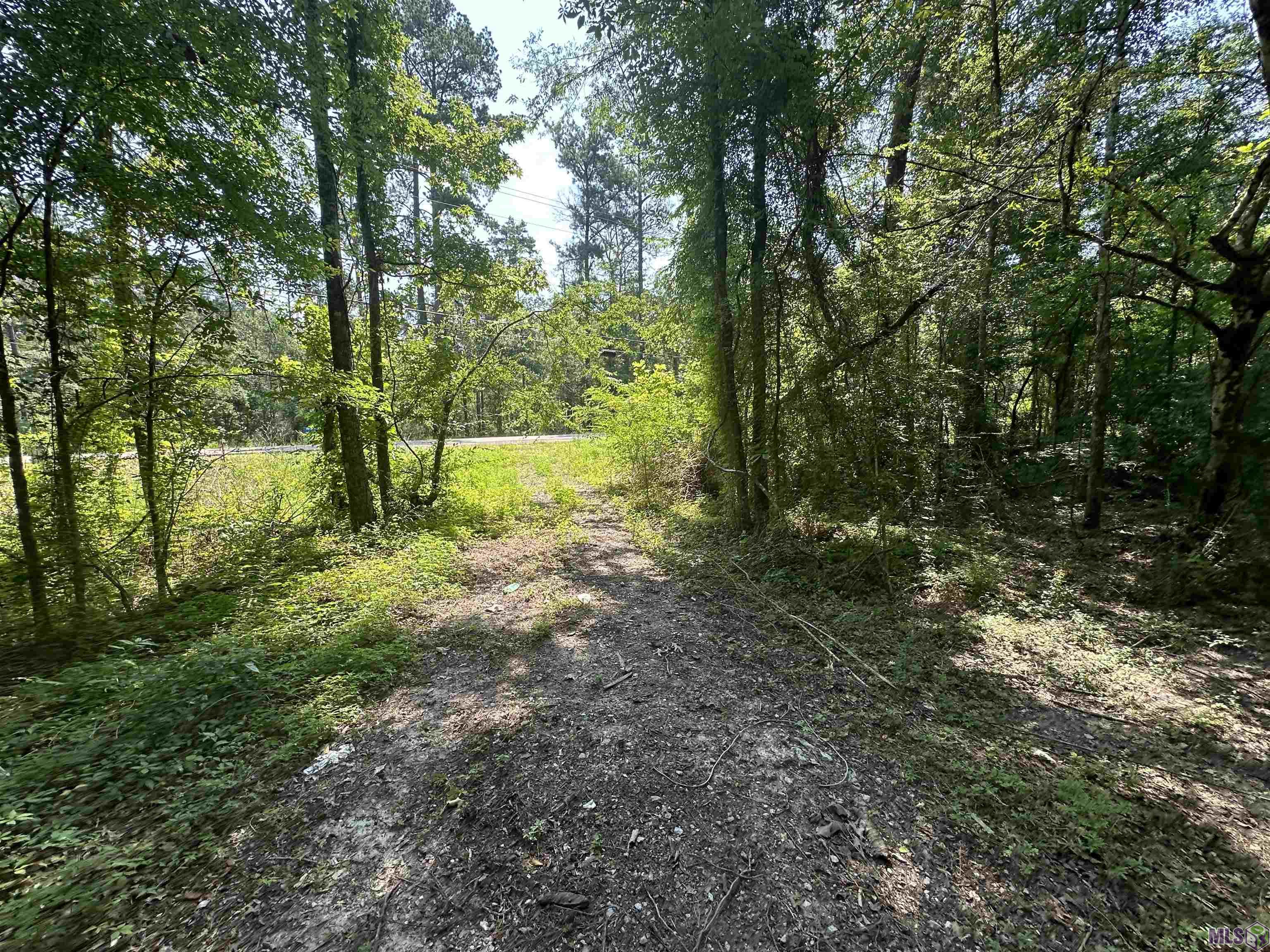 1036 Highway 1036 Holden, LA 70744 - Photo 25 of 39 Gallery Image 25