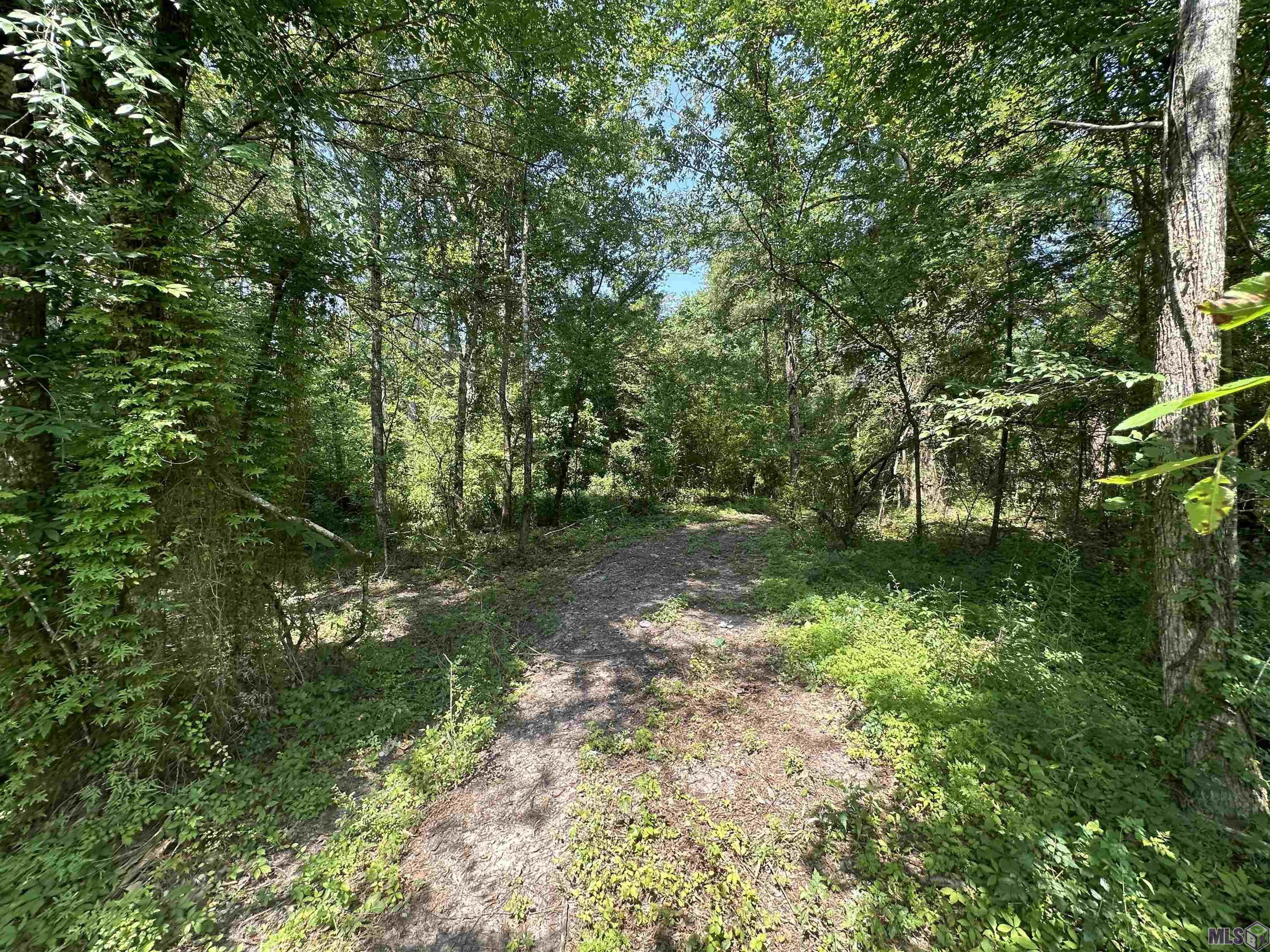 1036 Highway 1036 Holden, LA 70744 - Photo 26 of 39 Gallery Image 26