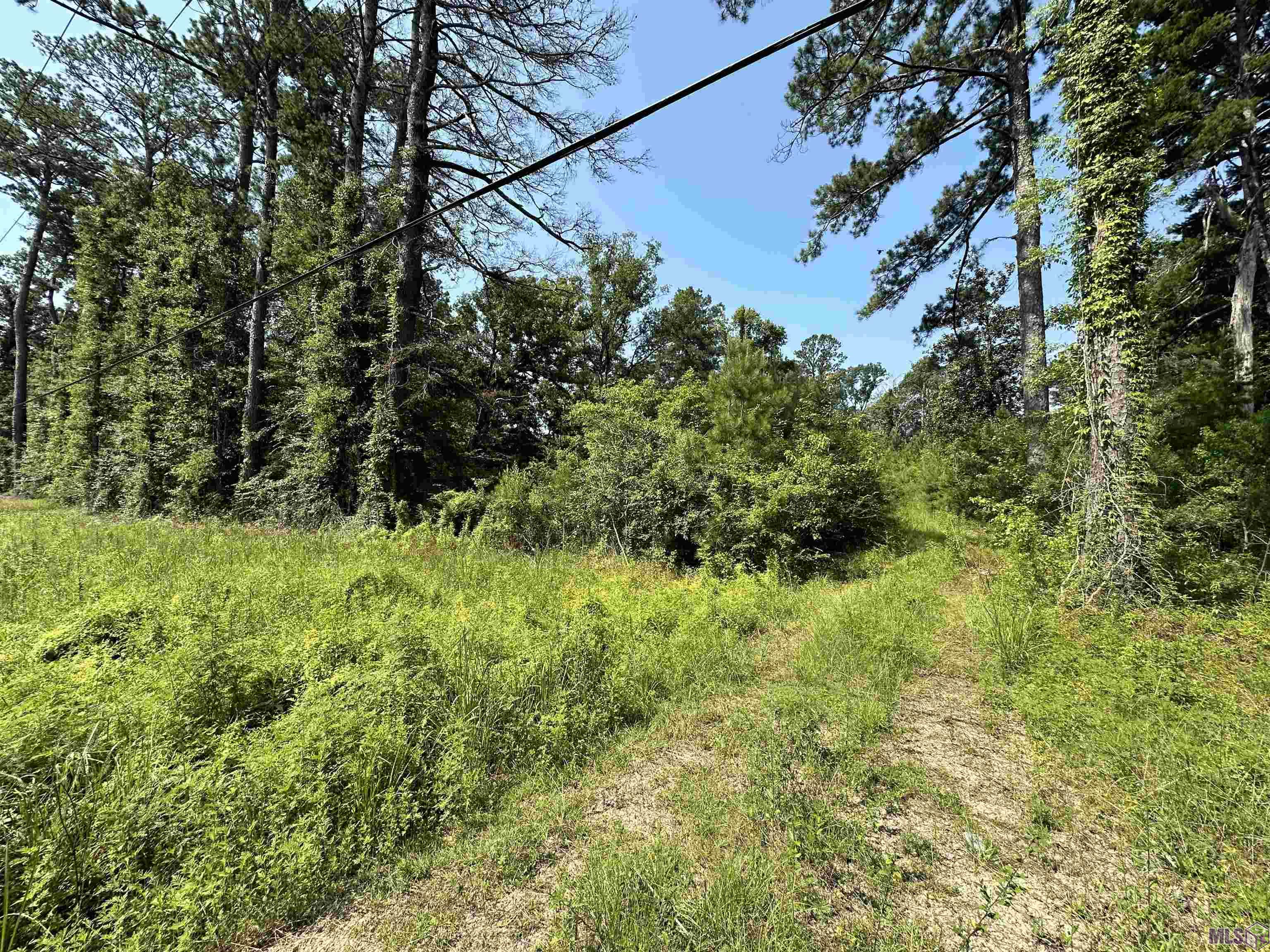 1036 Highway 1036 Holden, LA 70744 - Photo 6 of 39 Gallery Image 6