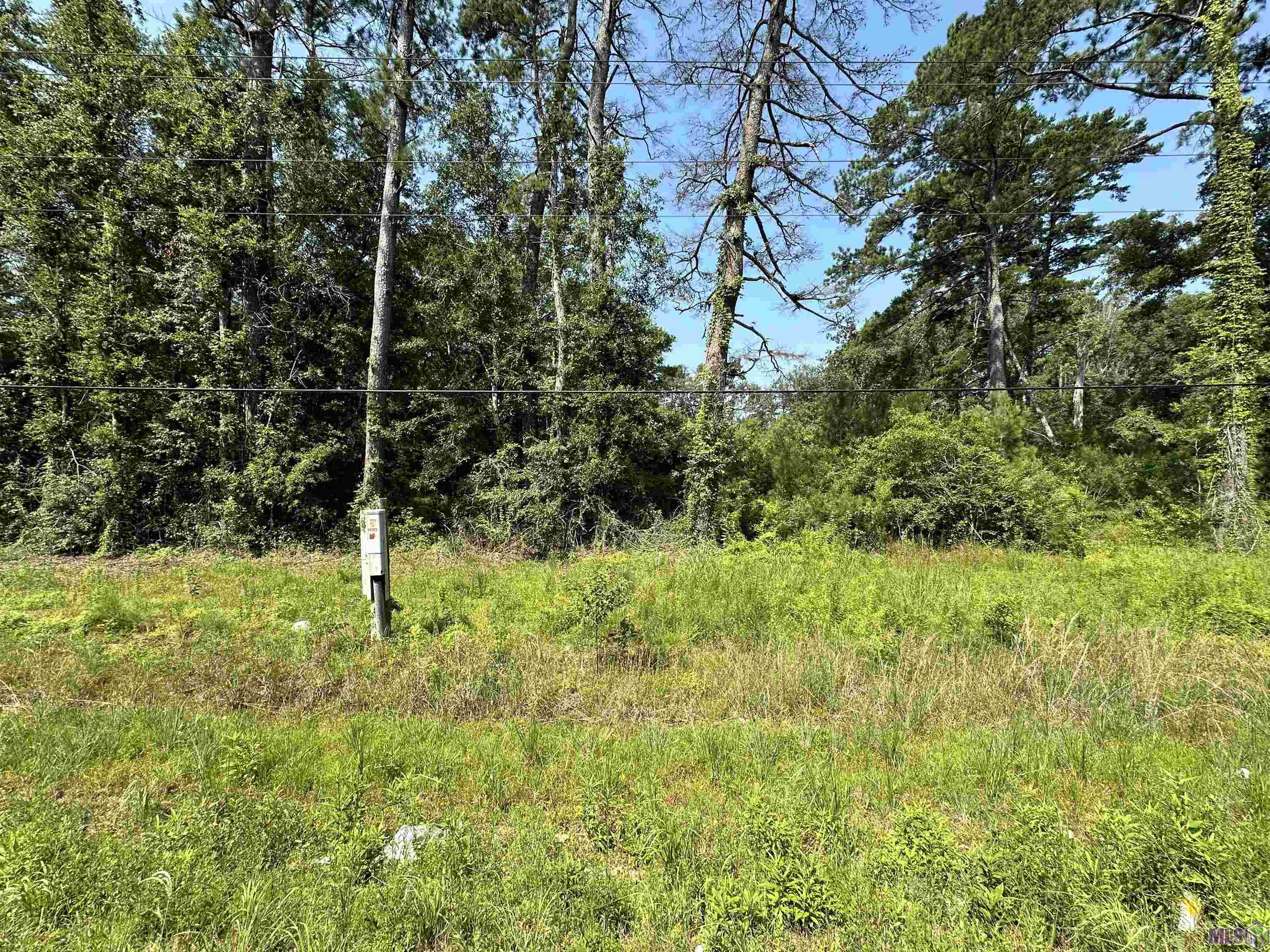 1036 Highway 1036 Holden, LA 70744 - Photo 8 of 39 Gallery Image 8