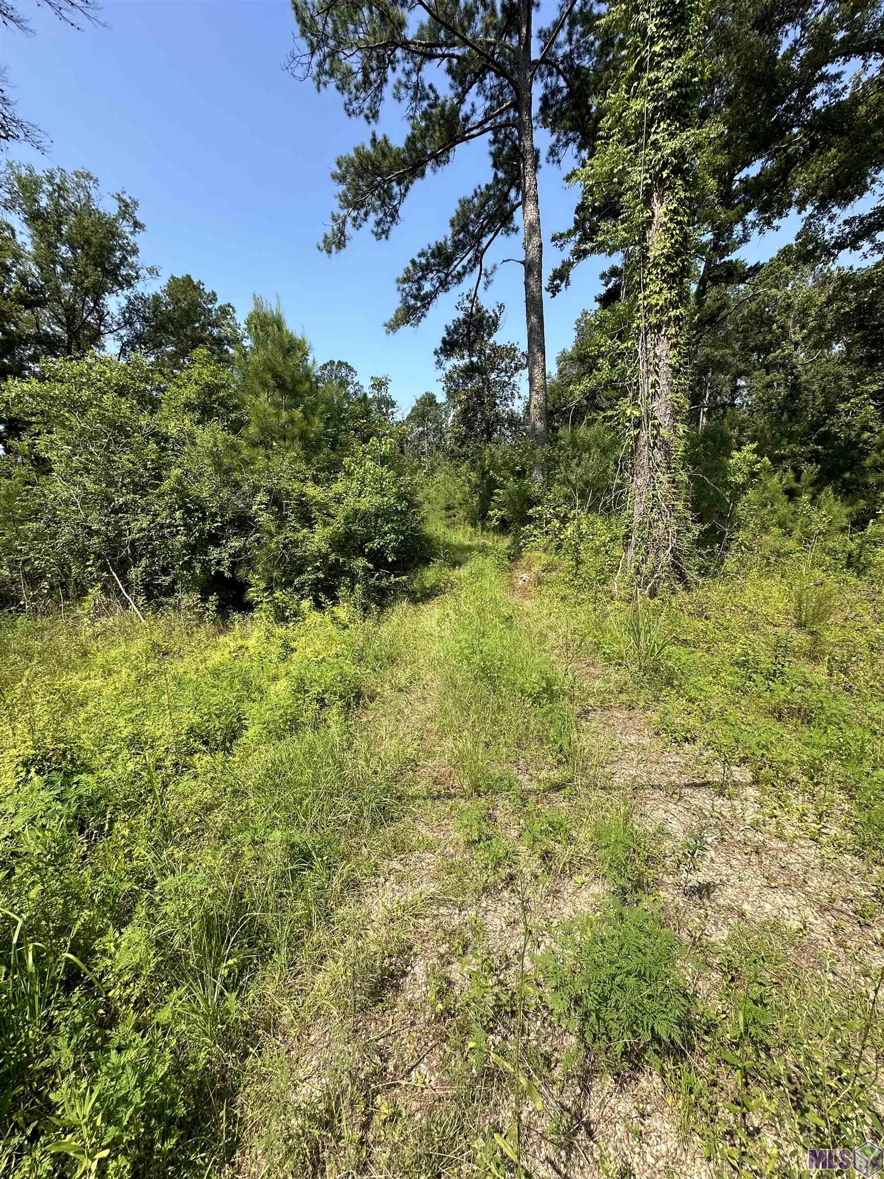 1036 Highway 1036 Holden, LA 70744 - Photo 9 of 39 Gallery Image 9