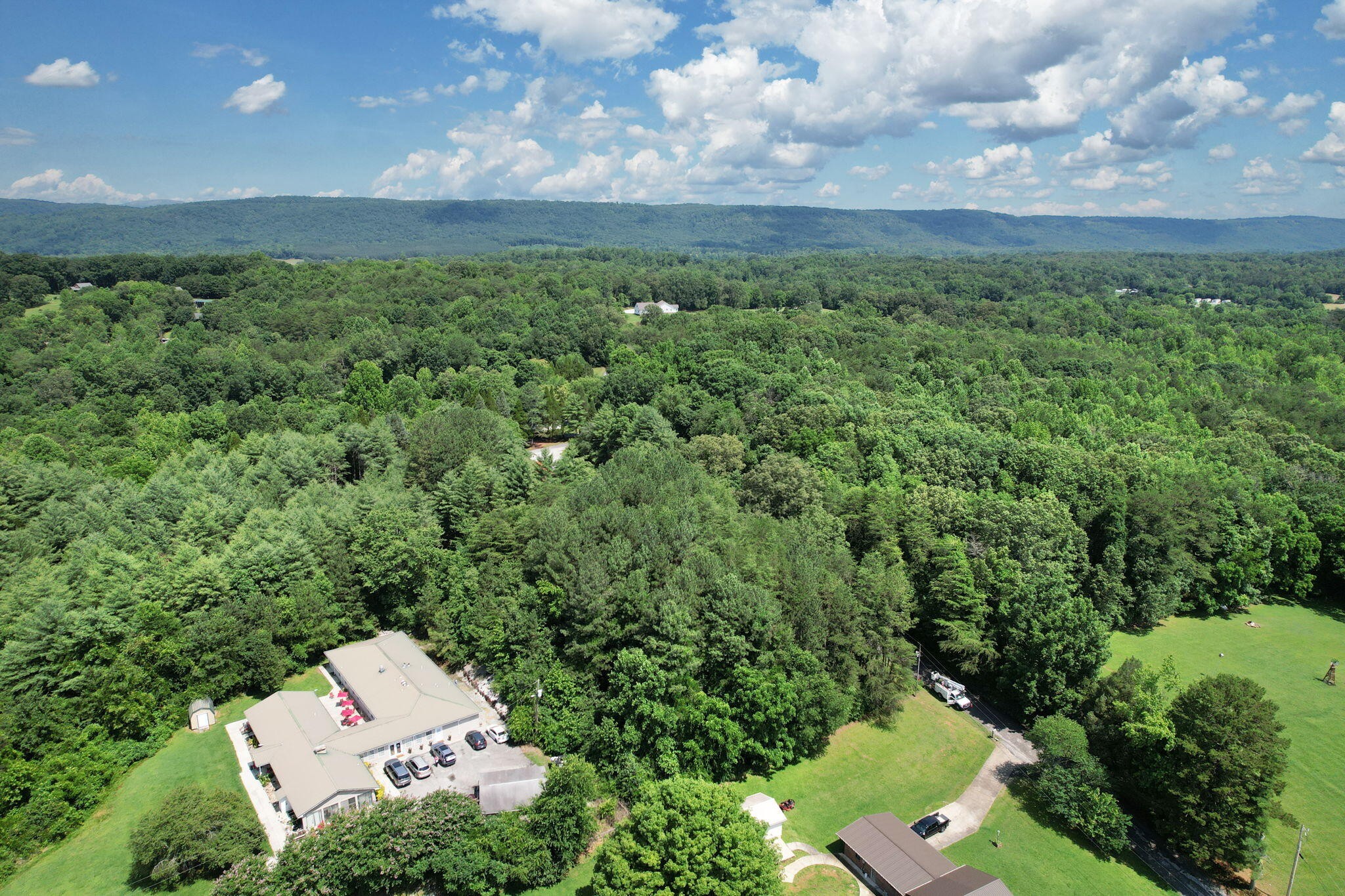 0 Dreamland Road Spring City, TN 37381 - Photo 8 of 16
