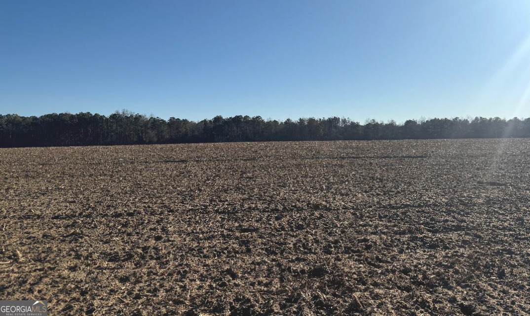 0 Whitfield Road Elko, GA 31025 - Photo 1 of 3 a view of lake and mountain view