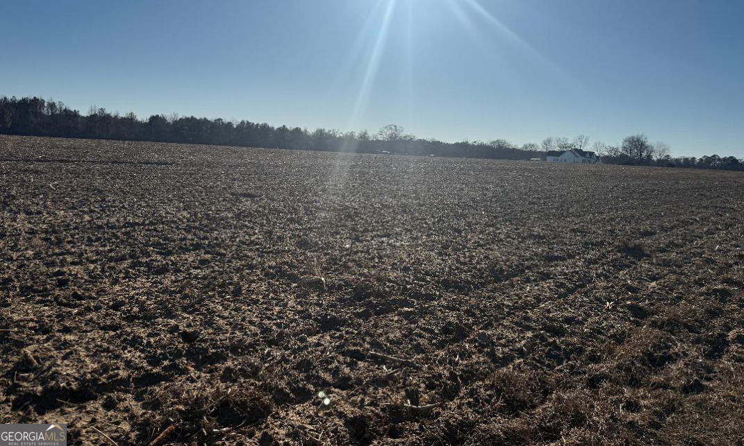 0 Whitfield Road Elko, GA 31025 - Photo 2 of 3 a view of lake and mountain