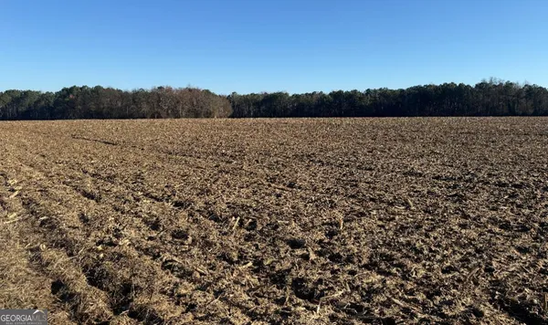 a view of a field with trees in the background