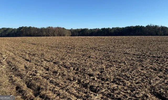 a view of a field with trees in the background
