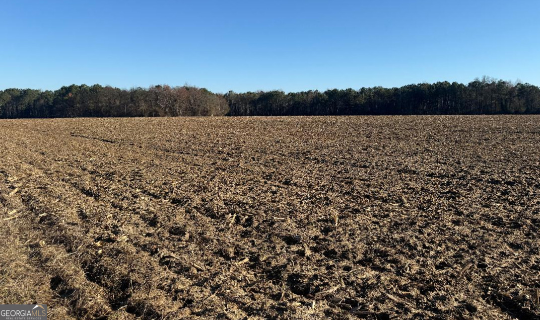 0 Whitfield Road Elko, GA 31025 - Photo 3 of 3 a view of a field with trees in the background