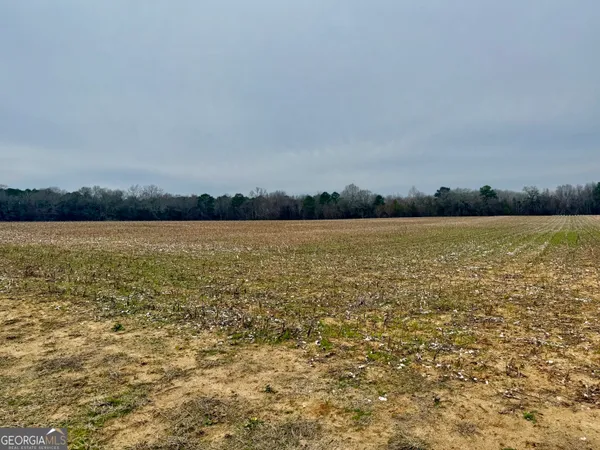 $1,500,000 | 0 Whitfield Road, Elko, GA 31025