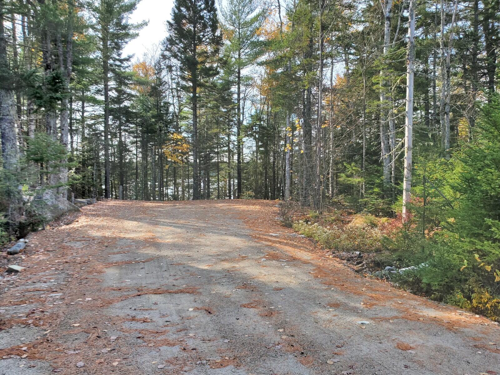 Lot 11 Birch Point Road Cooper, ME 04657 - Photo 19 of 21 20201022_123012