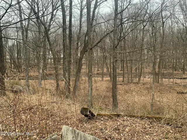 $155,000 | 9 Lilac Lane, Catskill, NY 12414