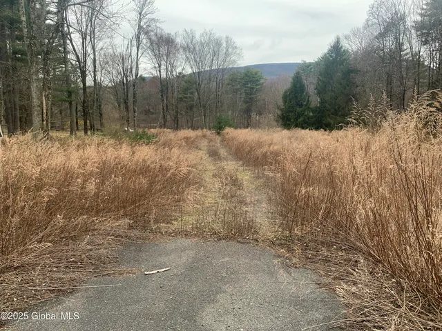 $155,000 | 9 Lilac Lane, Catskill, NY 12414