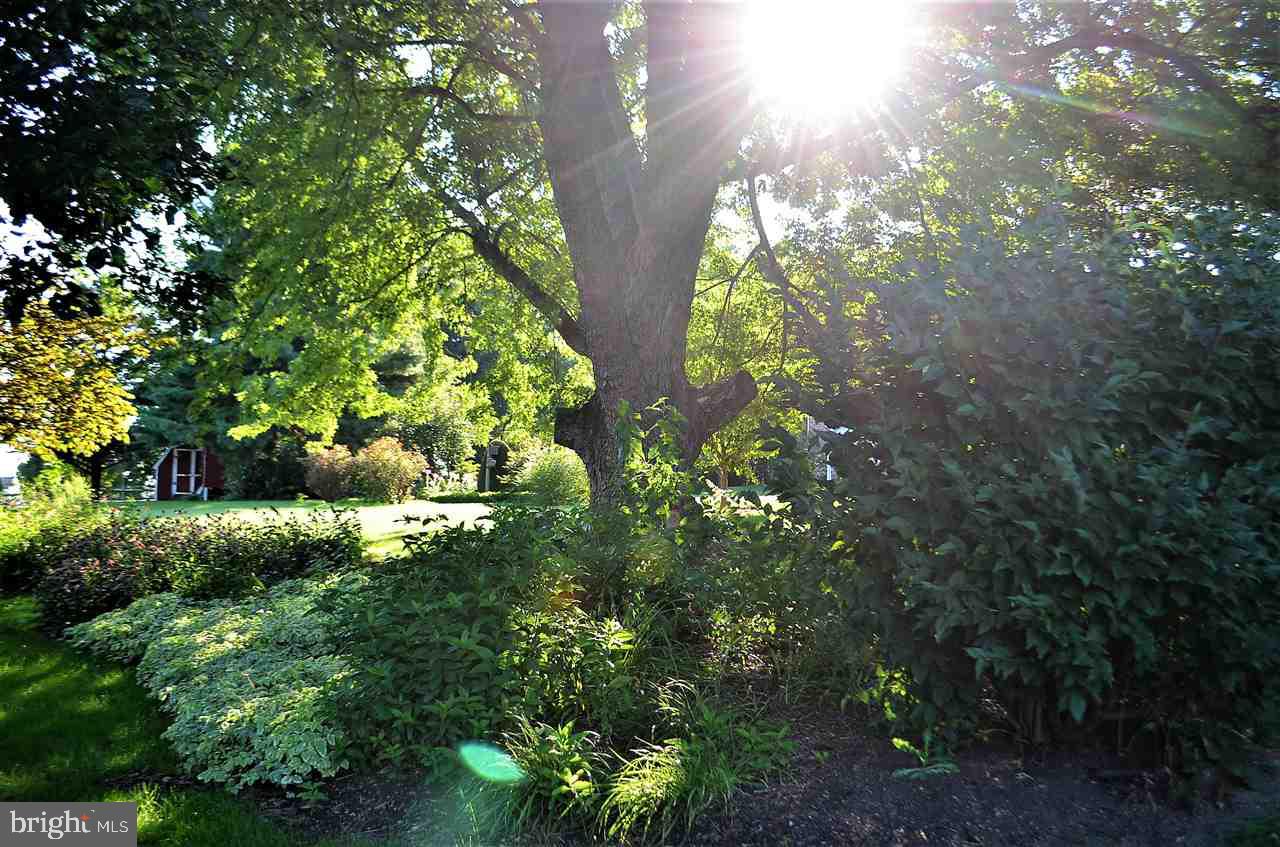 220 Blymire Road Dallastown, PA 17313 - Photo 24 of 35 Gallery Image 24