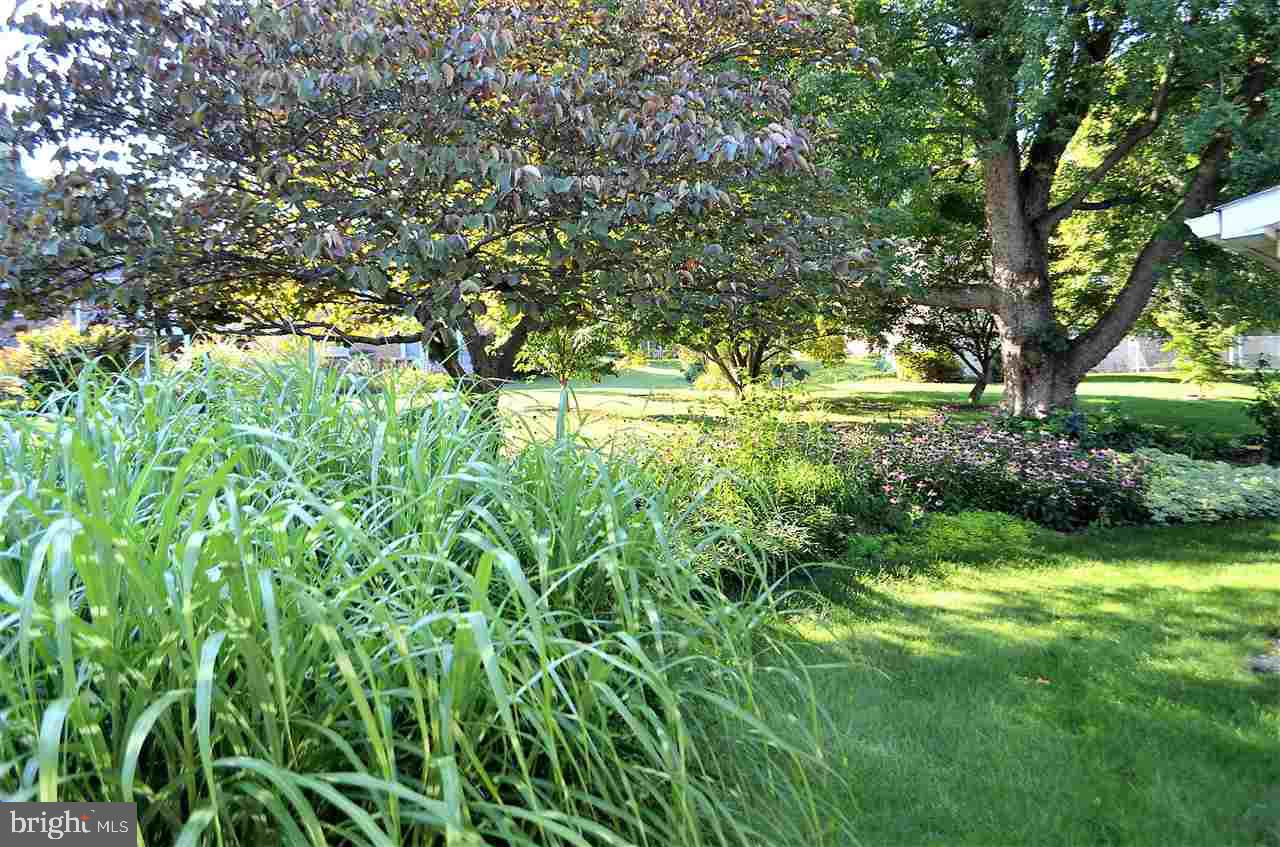 220 Blymire Road Dallastown, PA 17313 - Photo 25 of 35 Gallery Image 25
