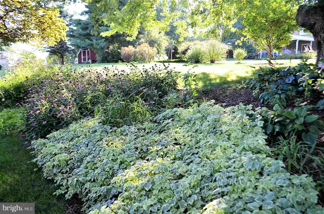 220 Blymire Road Dallastown, PA 17313 - Photo 30 of 35 Gallery Image 30