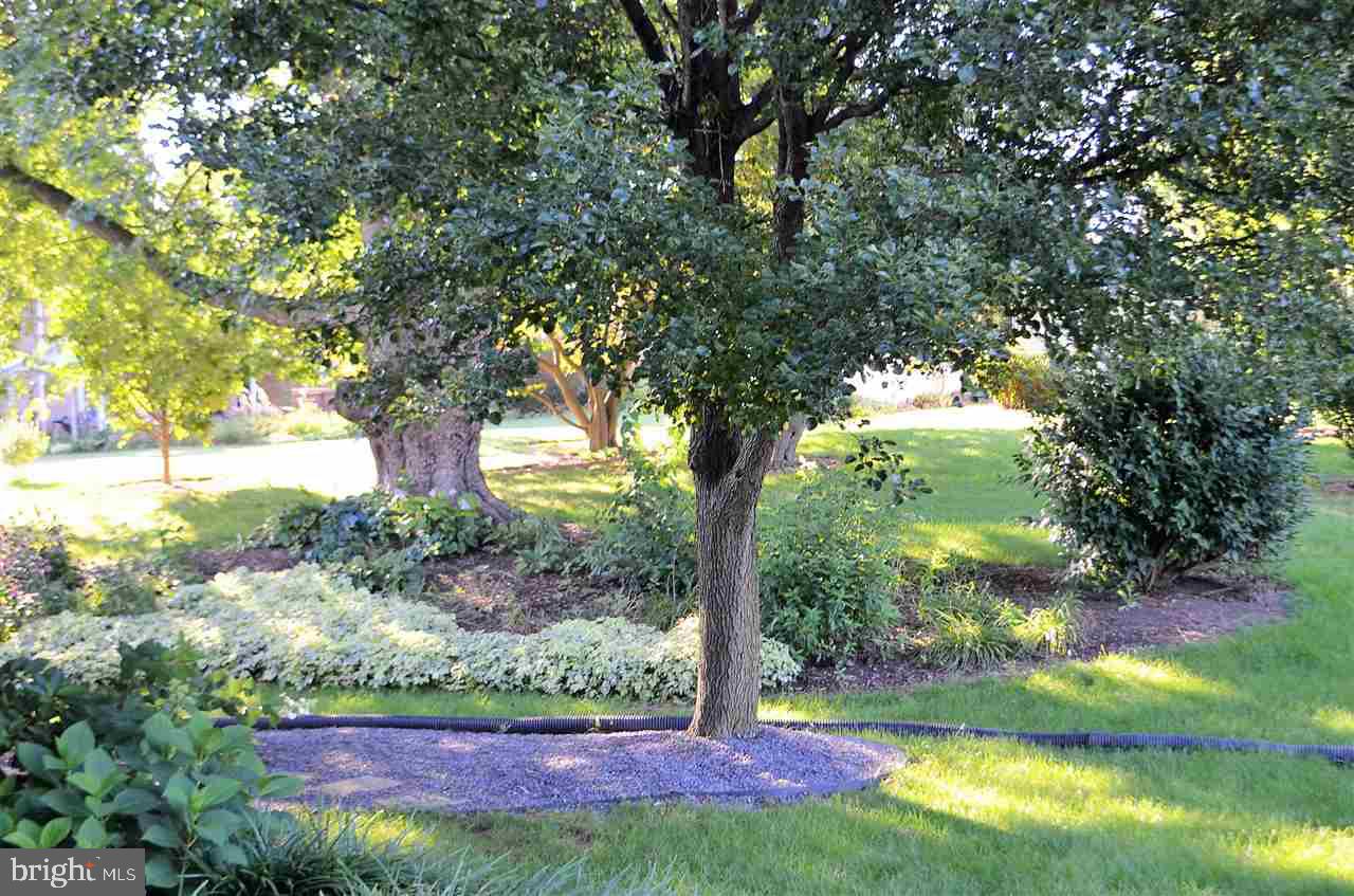 220 Blymire Road Dallastown, PA 17313 - Photo 32 of 35 Gallery Image 32