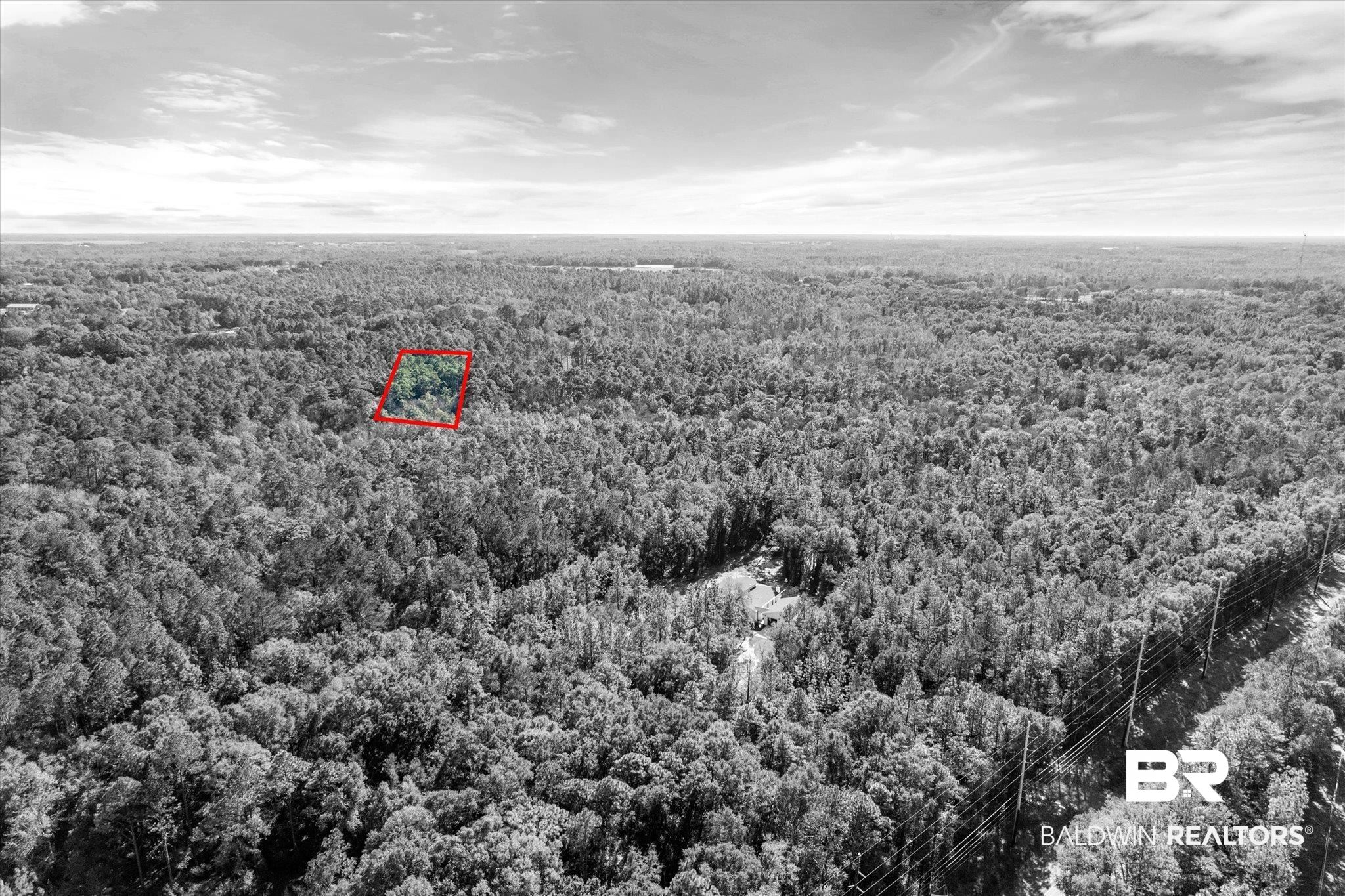 0 Oyler Lane Mobile, AL 36695 - Photo 7 of 12 Birds eye view of property