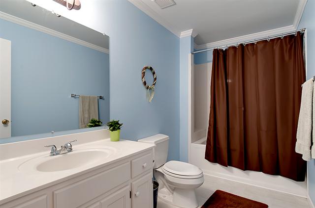 334 Williams Road Travelers Rest, SC 29690 - Photo 16 of 17 Gallery Image 16