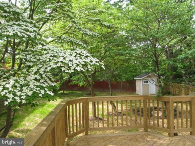 3002 Jennings Road Kensington, MD 20895 - Photo 16 of 24 Back yard
