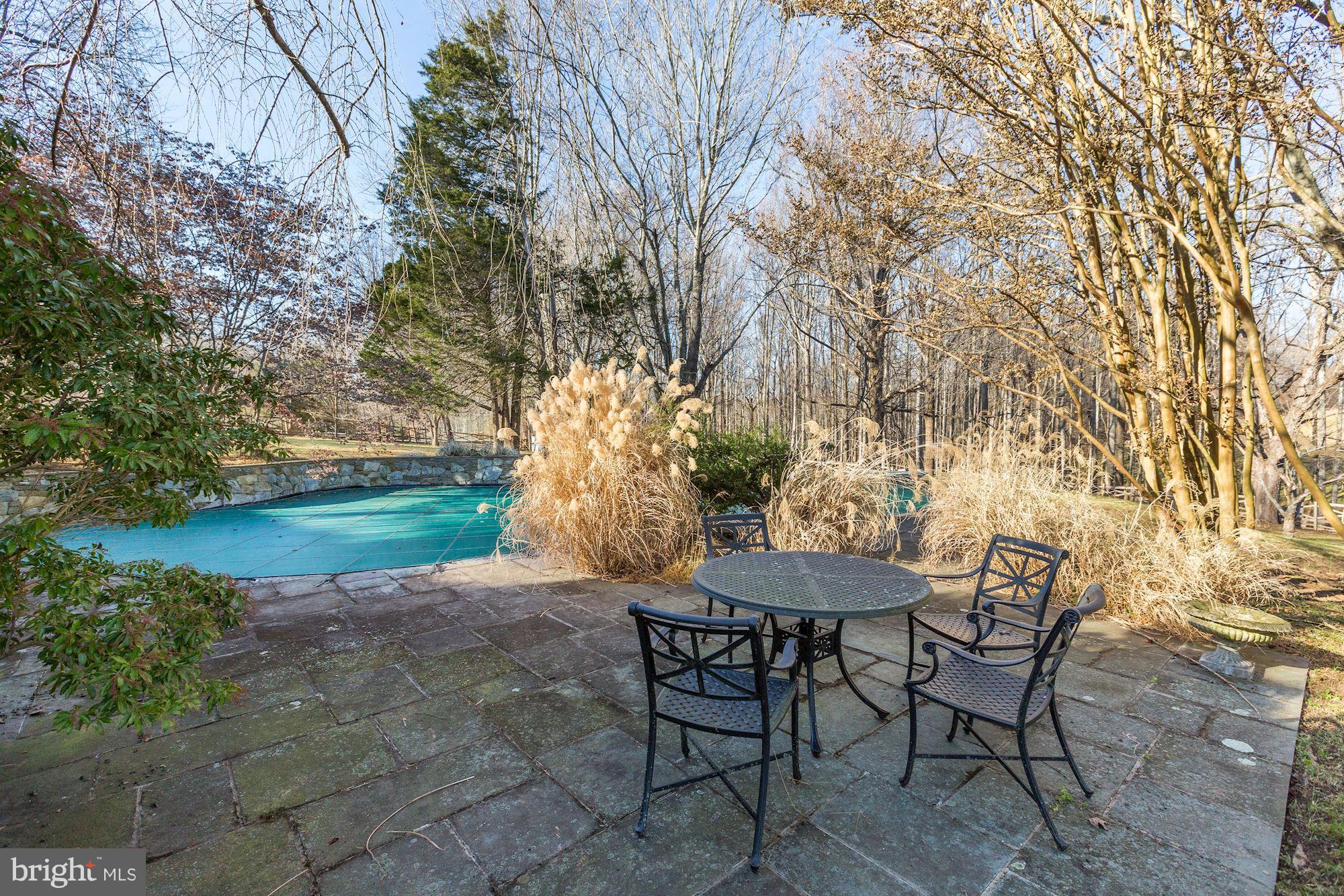 15011 Springfield Road Darnestown, MD 20874 - Photo 28 of 30 Pool