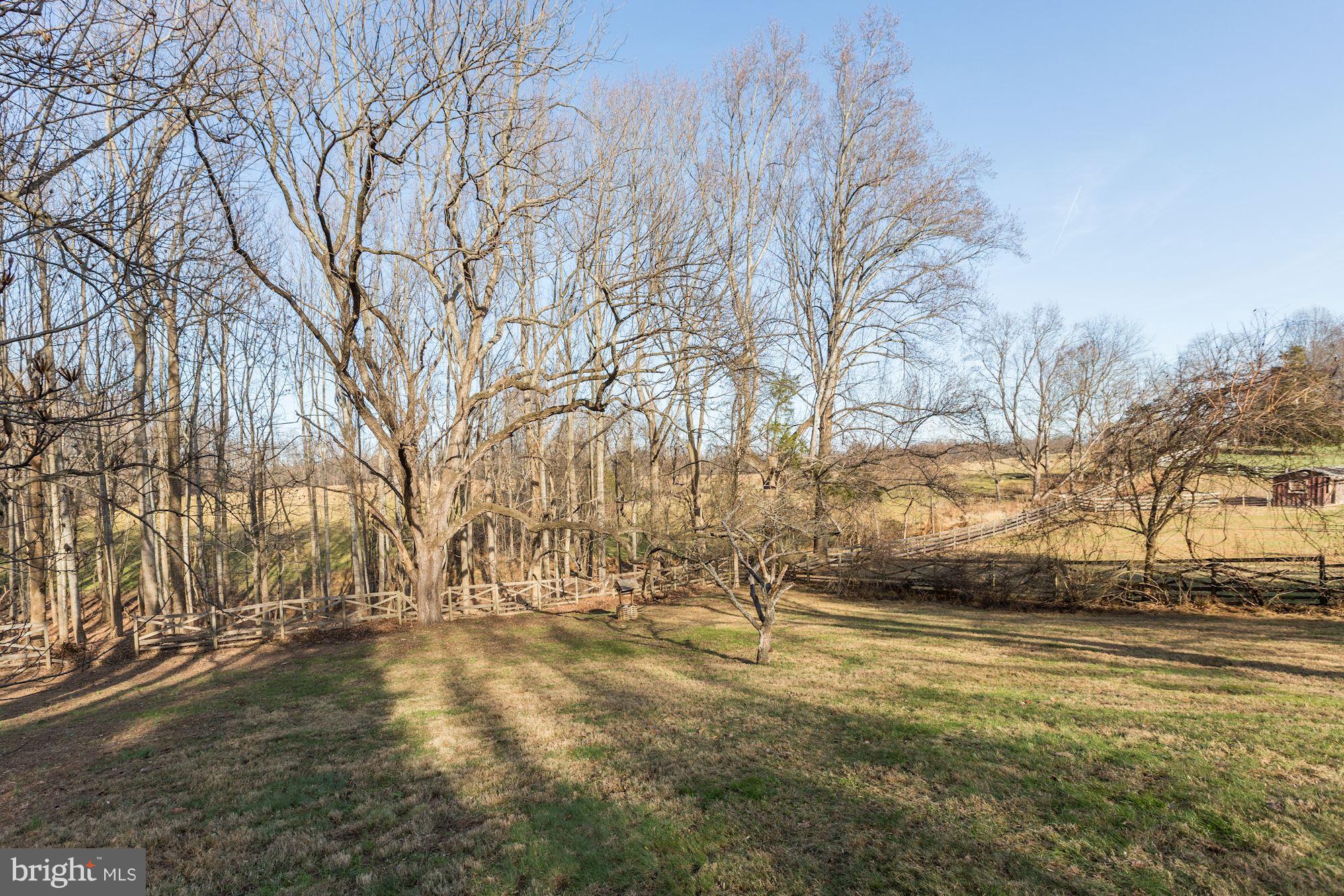 15011 Springfield Road Darnestown, MD 20874 - Photo 29 of 30 Gorgeous View
