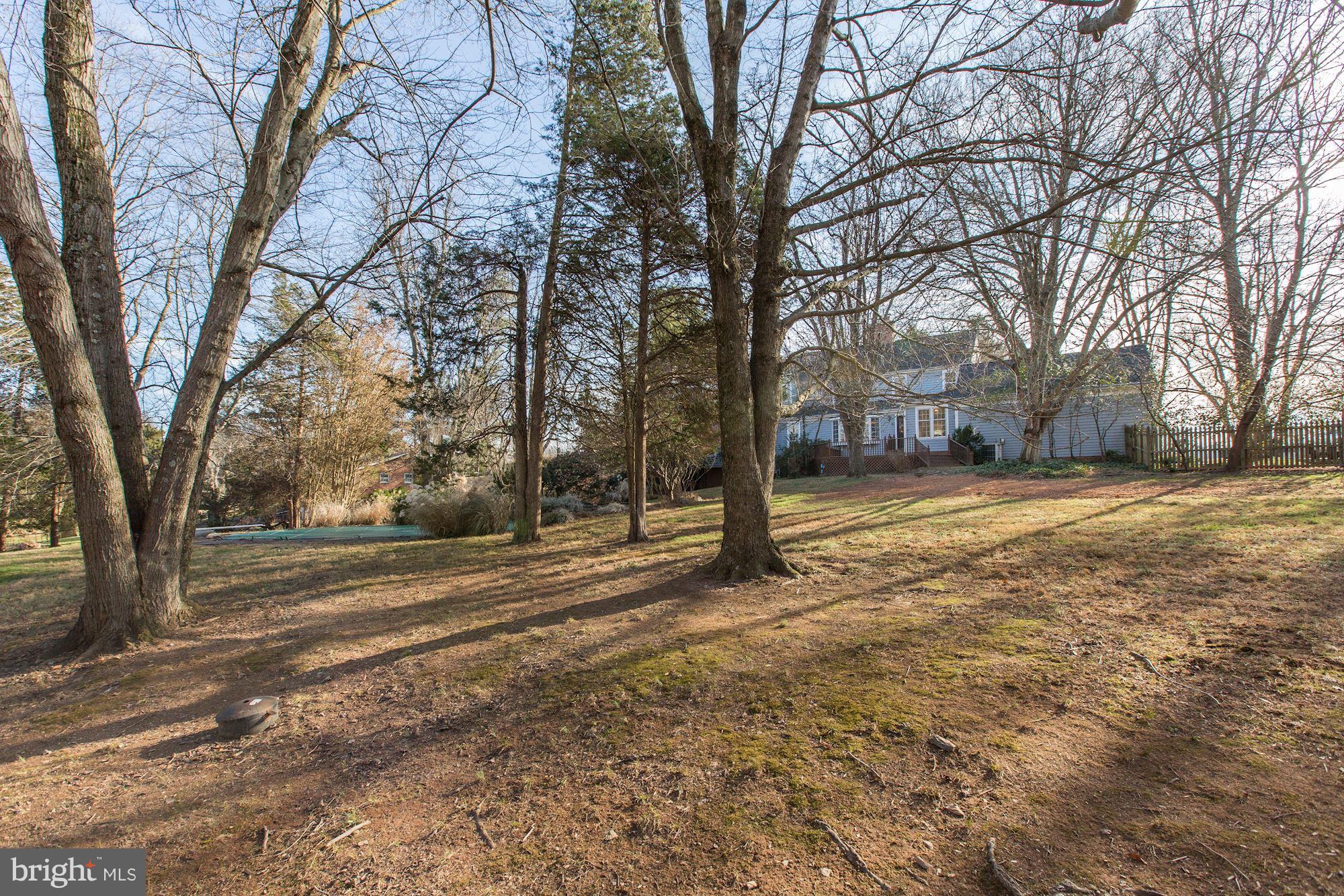 15011 Springfield Road Darnestown, MD 20874 - Photo 30 of 30 Back Yard - Lots of Space