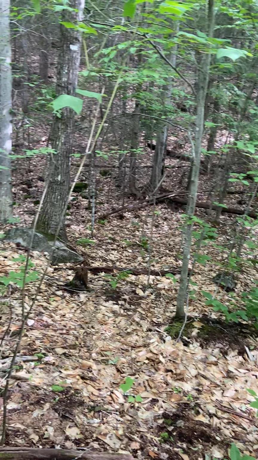 34 Durgin Hill Road Freedom, NH 03836 - Photo 4 of 5