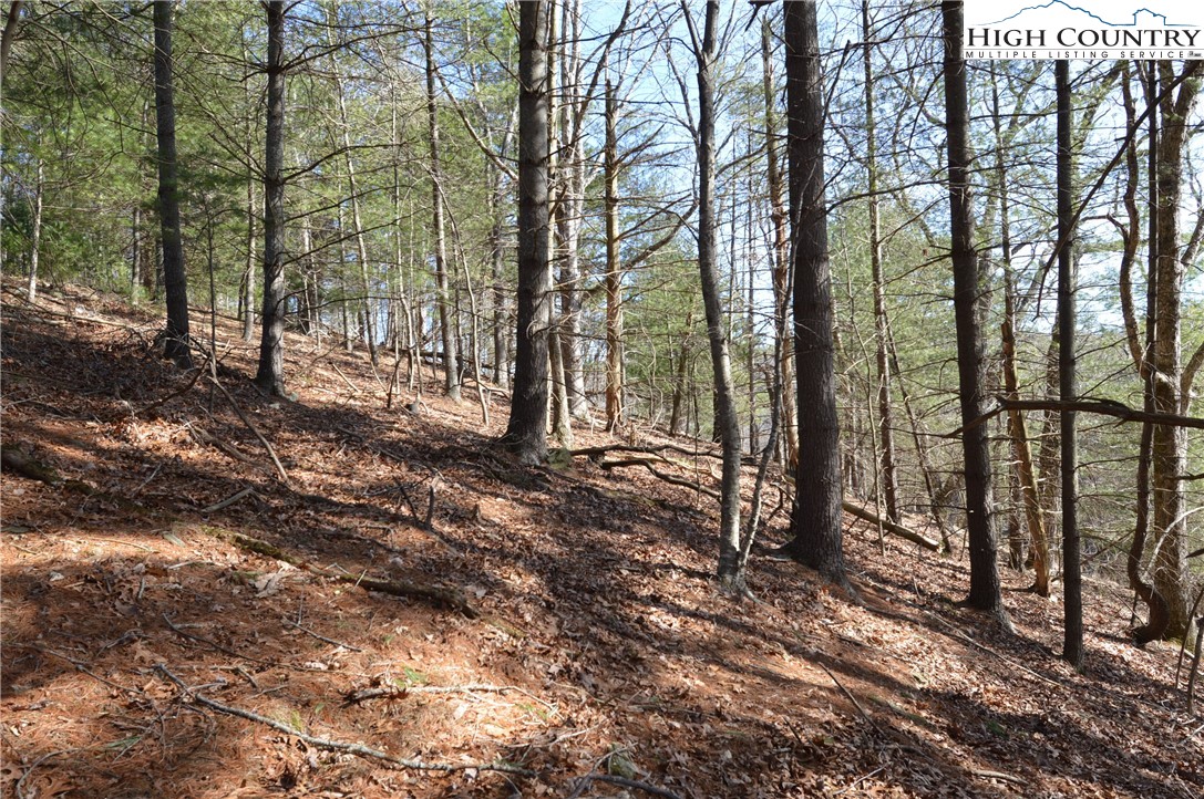 0 Sparks Ridge Lane Sparta, NC 28675 - Photo 11 of 49 Gallery Image 11