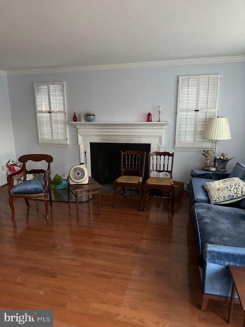231 Crosshill Road Wynnewood, PA 19096 - Photo 2 of 13 Living Room with fireplace
