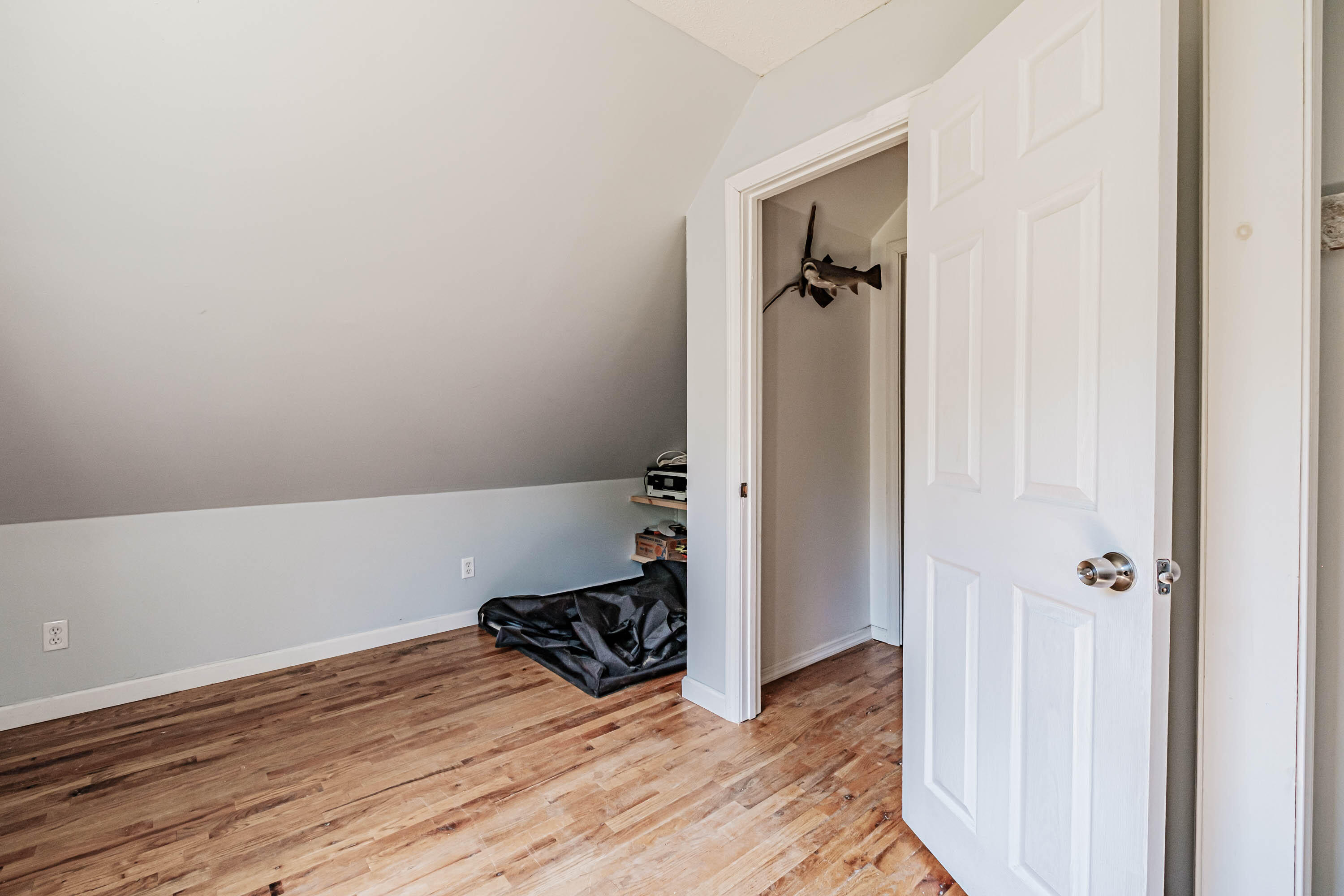 244 South Effingham Road West Newfield, ME 04095 - Photo 26 of 48 20220708gp-60038