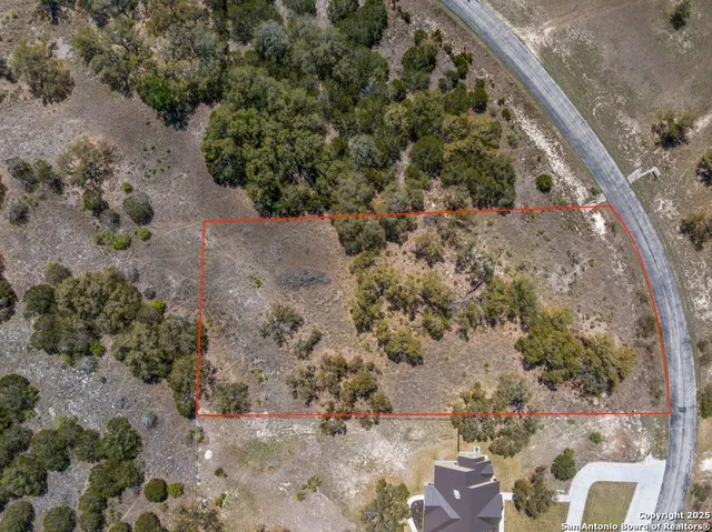 a view of a dry yard with trees