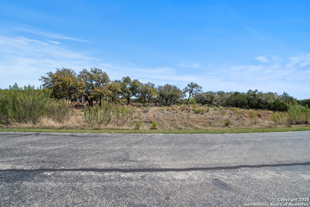 336 River Cliff Place Spring Branch, TX 78070 - Photo 8 of 14 a view of a yard with a tree