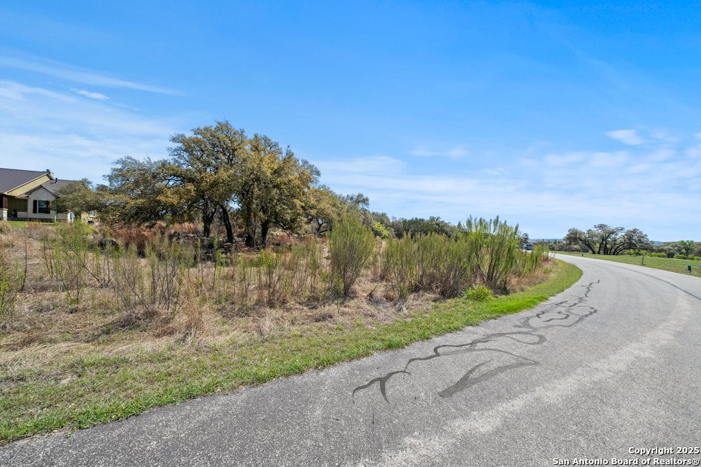 336 River Cliff Place Spring Branch, TX 78070 - Photo 9 of 14 a view of a lake with houses in the background