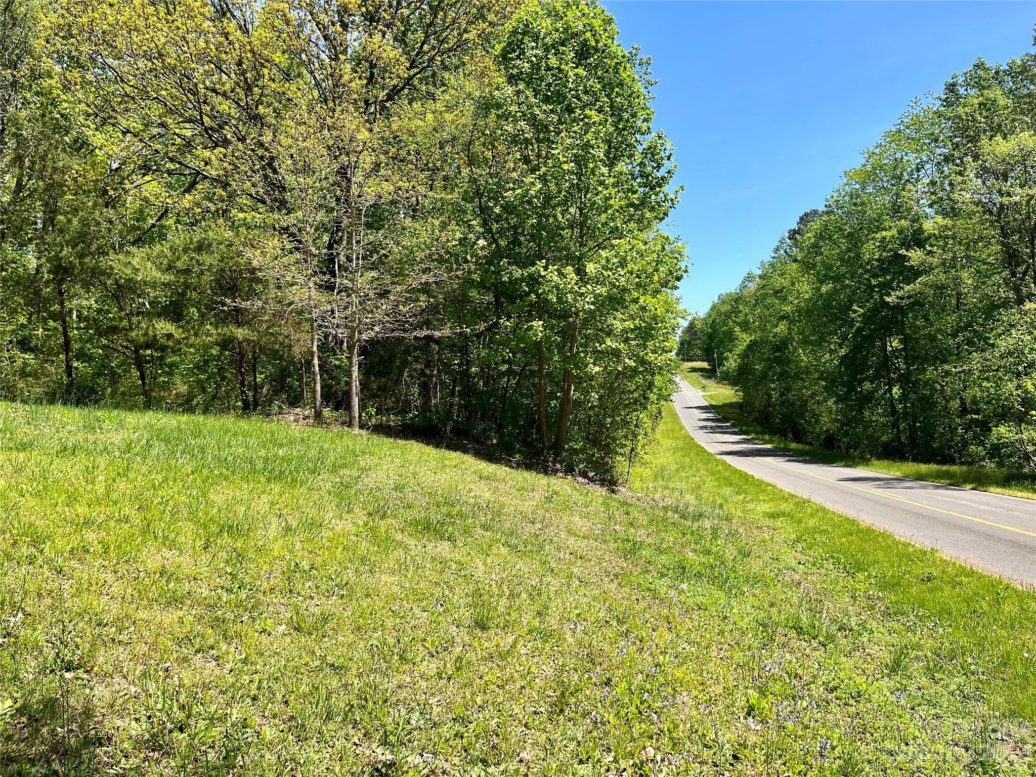 1411 Lackey Mountain Road Hiddenite, NC 28636 - Photo 17 of 19 a view of a yard with a tree