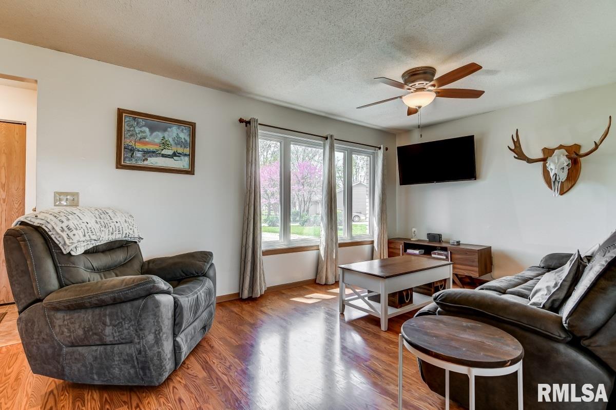 13 Chisholm Road Auburn, IL 62615 - Photo 8 of 41