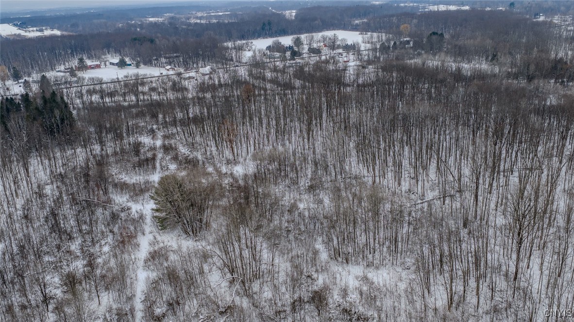 8264 Lewis Point Road Lenox, NY 13032 - Photo 15 of 18