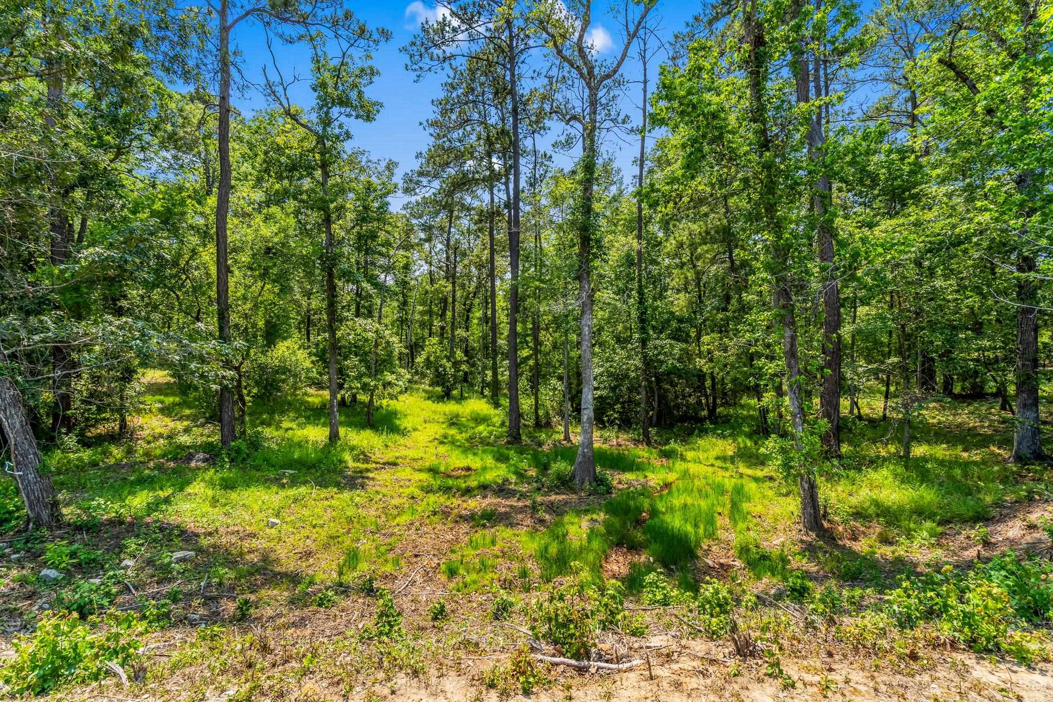 508 Chamberlin Road Myrtle Beach, SC 29588 - Photo 19 of 41