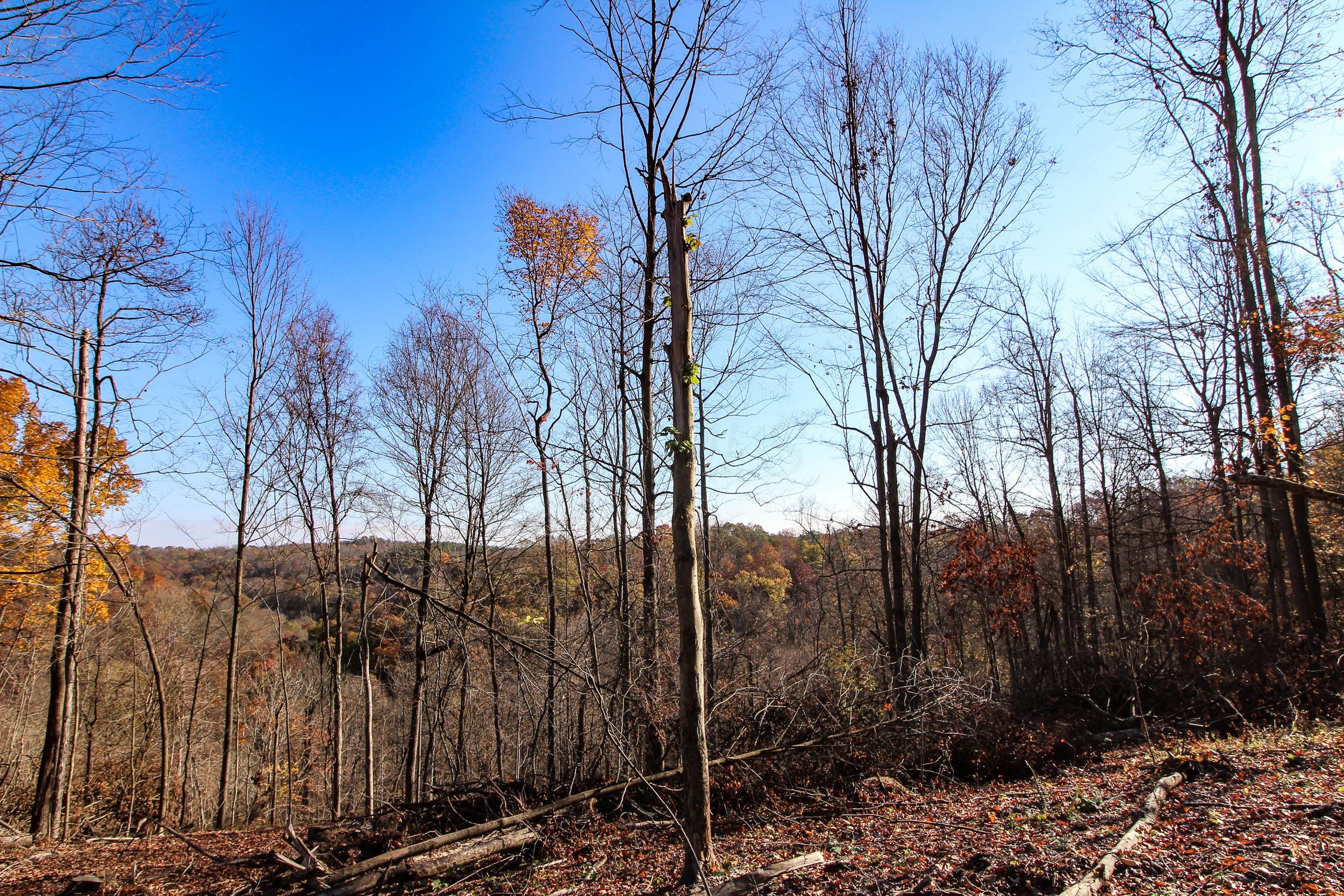 310 Jones Run Road New Matamoras, OH 45767 - Photo 5 of 45 Gallery Image 5