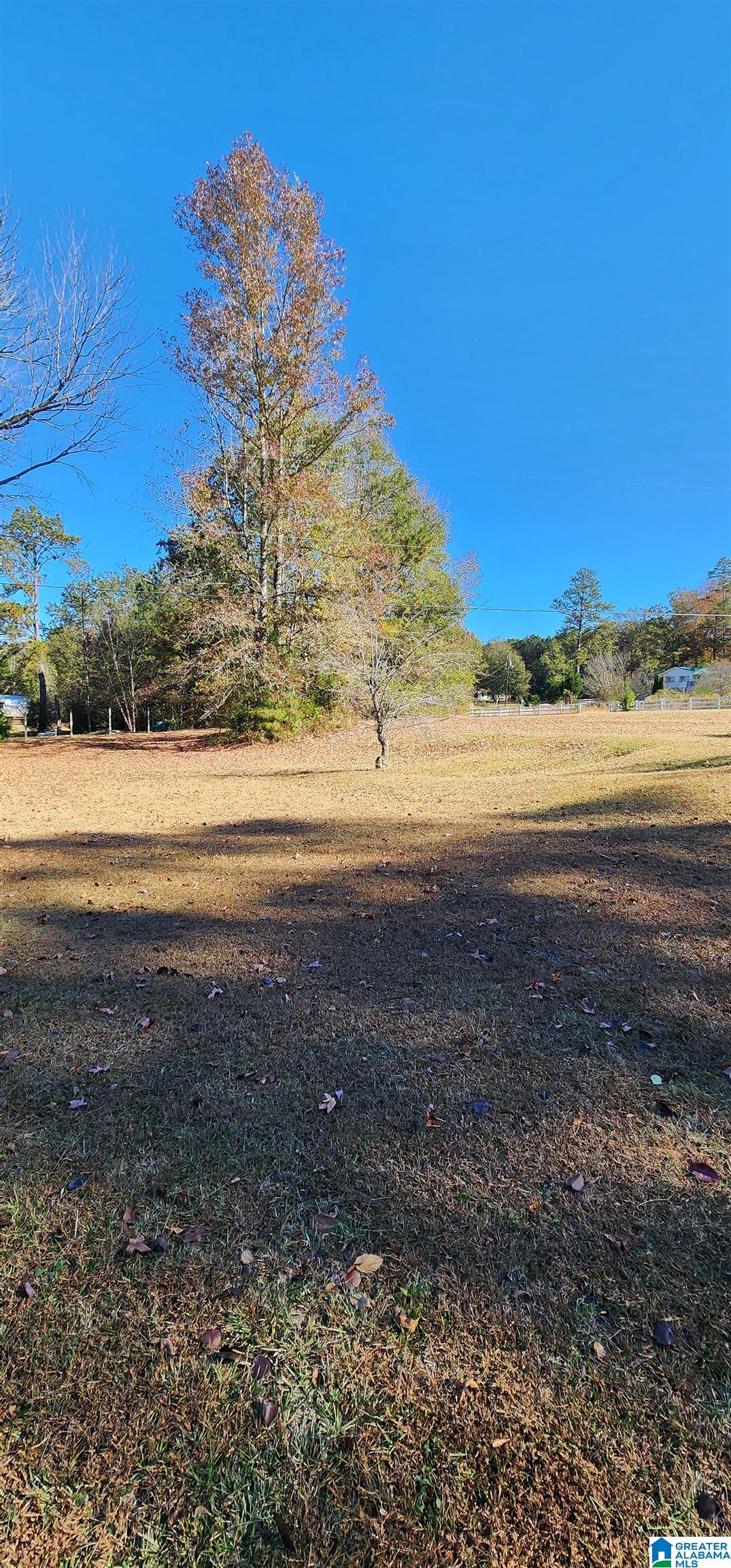 2441 Springville Boulevard Oneonta, AL 35121 - Photo 5 of 36 Gallery Image 5