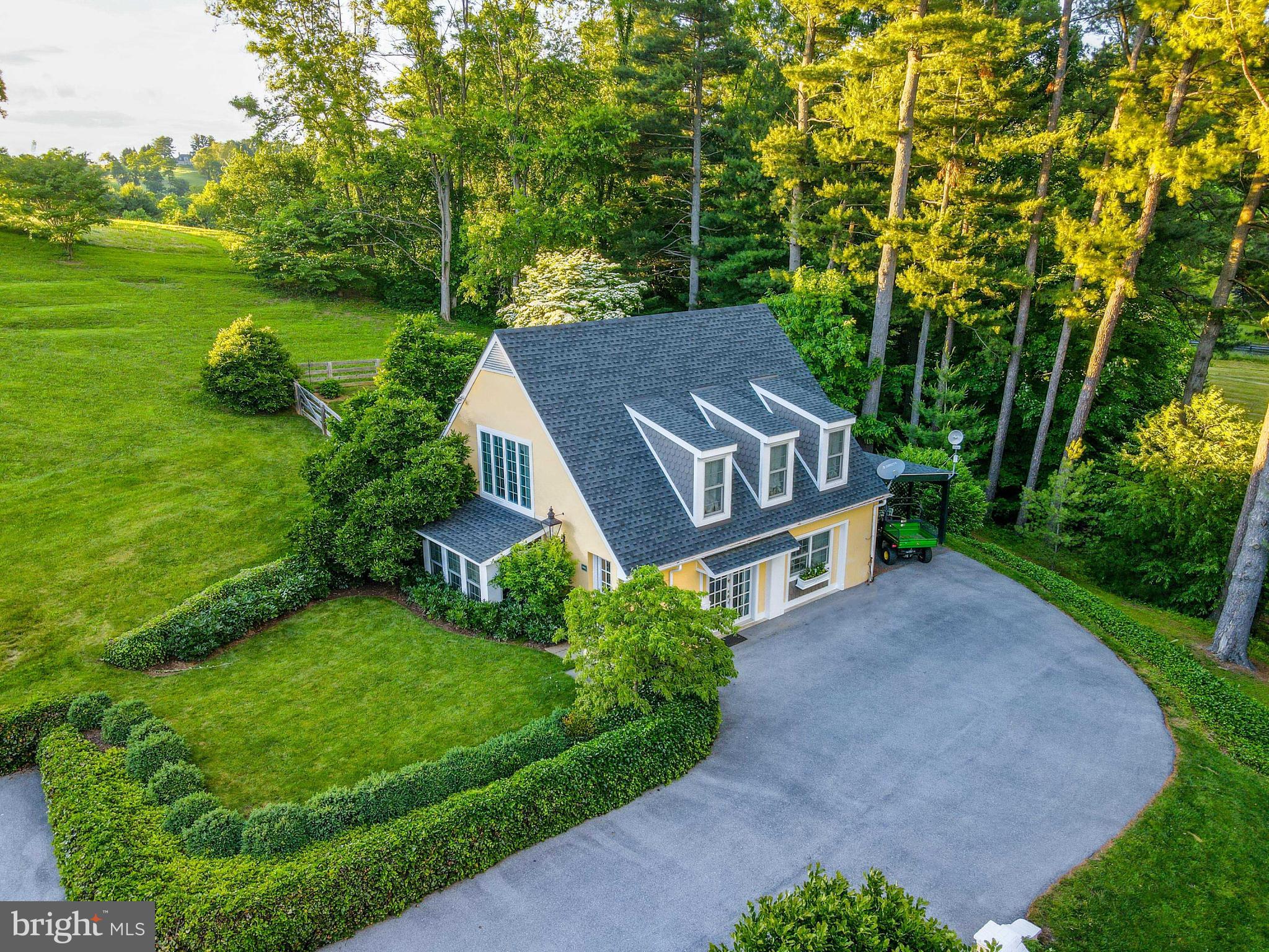 a view of a garden with an outdoor space