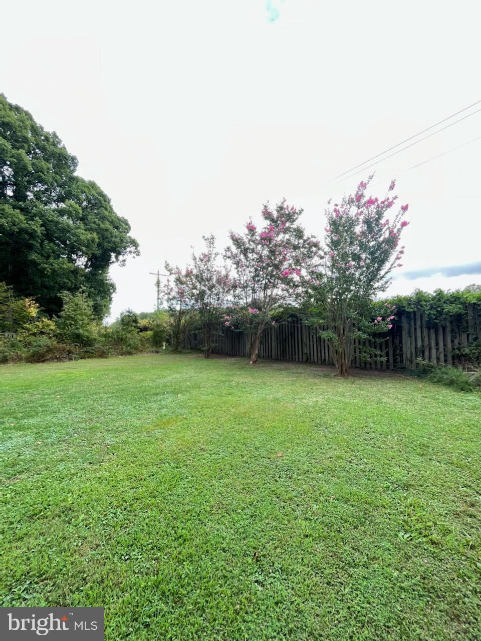302 Biddle Road Accokeek, MD 20607 - Photo 27 of 43 Beautiful Yard in Bloom