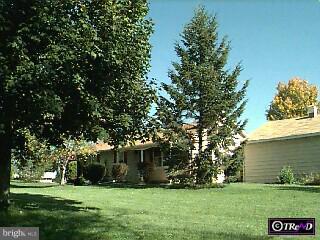 a view of a tree next to a yard