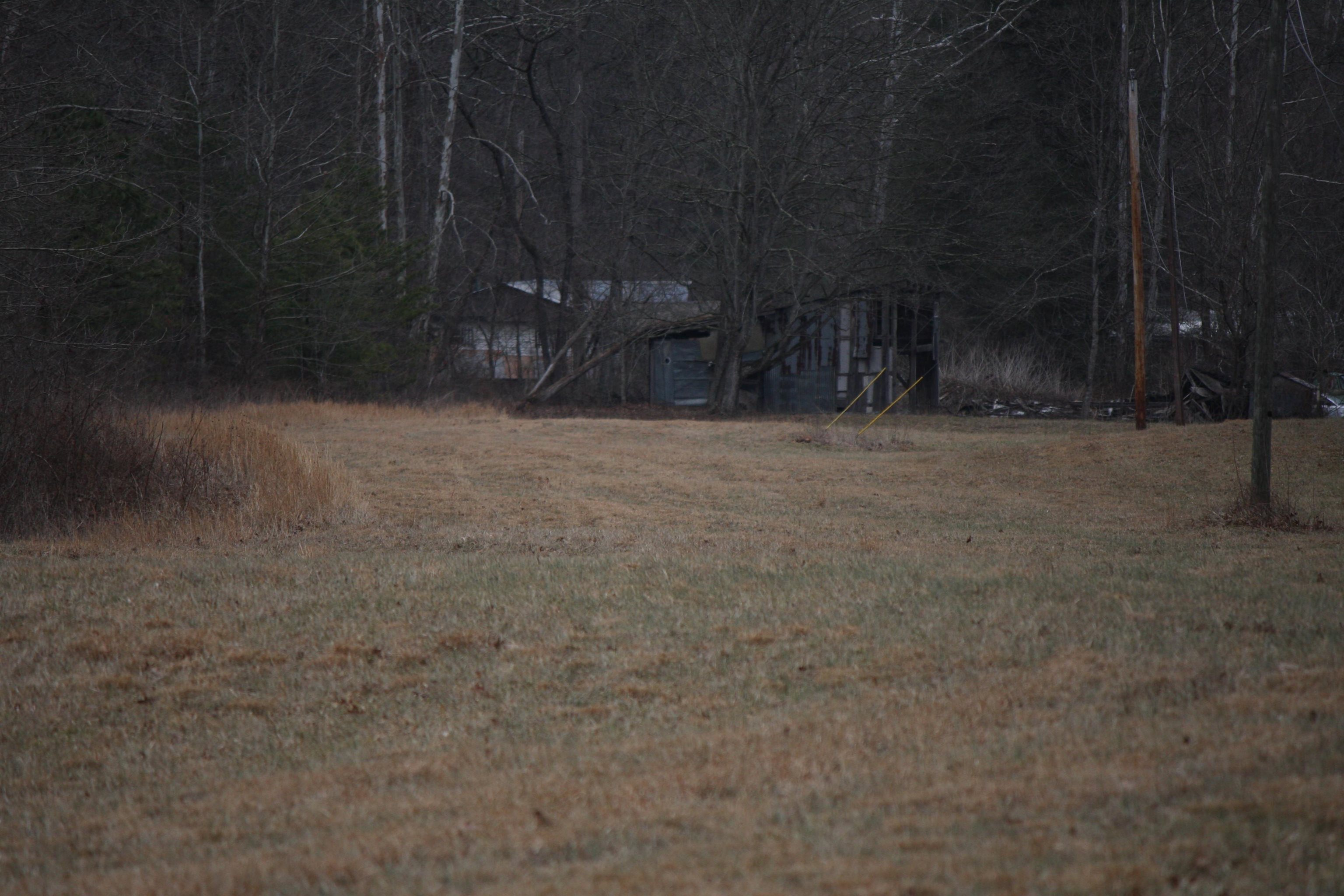Boone Branch Road Garrison, KY 41141 - Photo 3 of 19